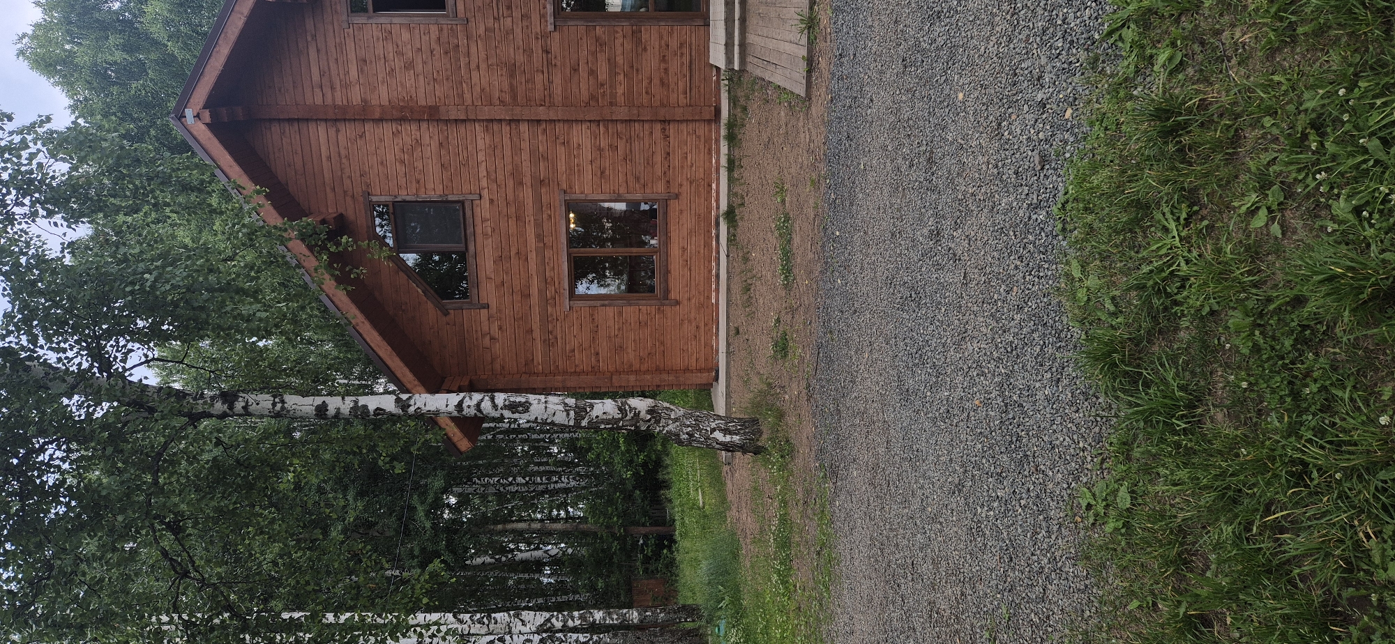 The image shows a two-story wooden house with a prominent gable roof and horizontal log siding, stained a reddish-brown. The house has several windows, including a triangular window on the upper level. To the left of the house, several birch trees with distinct white and black bark are visible, with their foliage creating a dense green canopy. The foreground is covered with grey gravel, with a strip of green grass and some scattered smaller plants separating the gravel from the house. The environment appears to be a natural or semi-natural setting, possibly a rural area or the outskirts of a town. There are no people or actions depicted in the image. The image is taken from a ground-level perspective. The location is identified as being in the city of Chaikovsky, Russia.