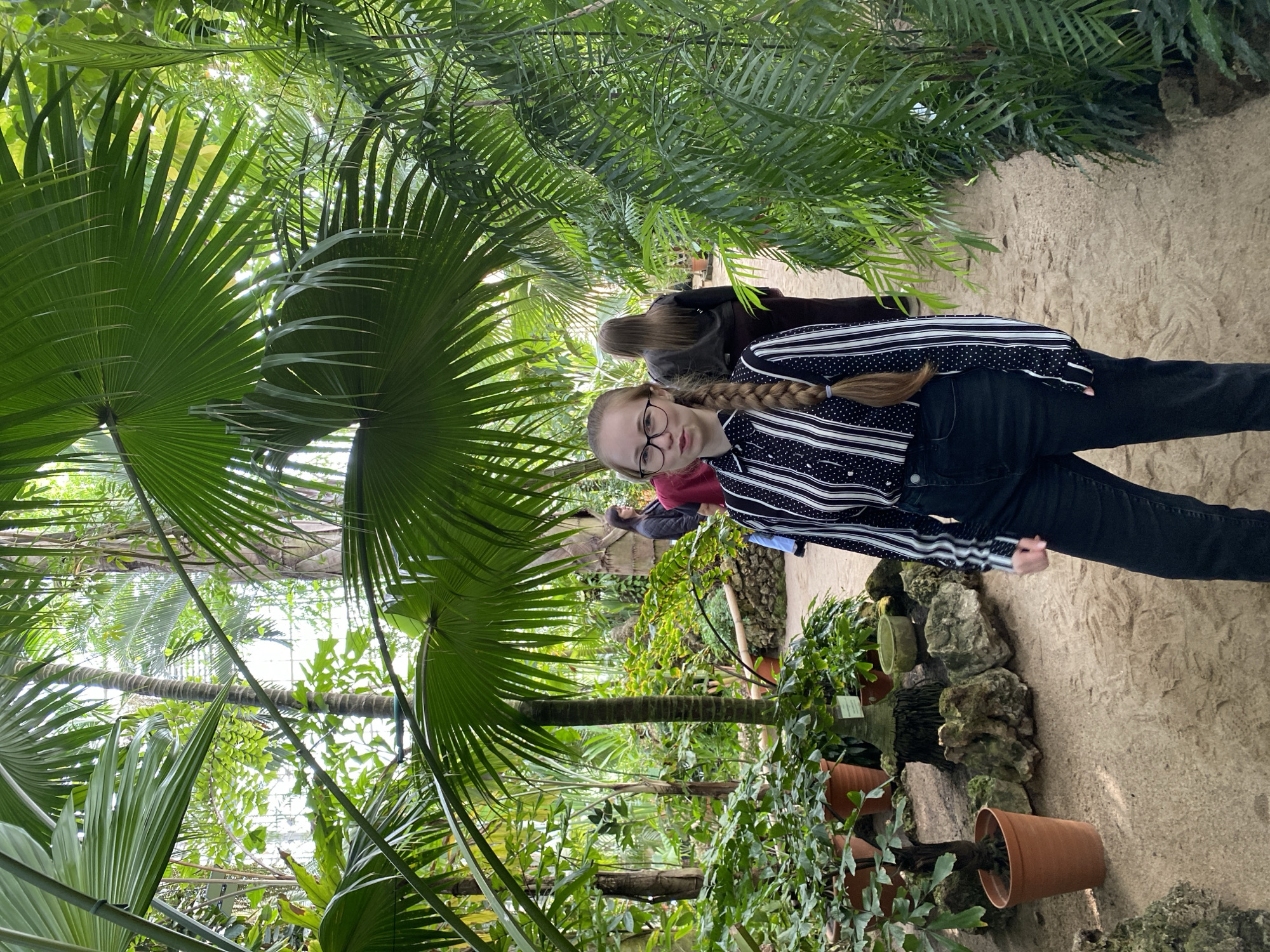 A young woman stands smiling in a vibrant botanical garden, likely located in Saint Petersburg, Russia. The image, initially oriented vertically but depicting a horizontal scene, features the woman positioned slightly right of center, looking directly at the camera with a slight smile. She has light brown hair styled in a long braid over her right shoulder and wears black-rimmed glasses. Her attire includes a long-sleeved shirt with a black and white striped top half and a black polka-dotted lower half, paired with dark jeans.
The setting is a lush, tropical greenhouse or conservatory, evidenced by the dense array of green foliage and the visible glass roof structure hinted at through the leaves. Large, fan-shaped palm fronds dominate the left side of the frame, while various other palm and tropical plants fill the background, creating an immersive green environment. Sunlight filters through the overhead leaves, indicating a bright daytime setting. A light-colored, possibly sandy or finely paved path winds through the garden, visible in the foreground and receding into the distance. Potted plants and decorative rocks line parts of the path. Other visitors are partially visible further back, obscured by the abundant vegetation, suggesting a public space. No visible text is present in the image.