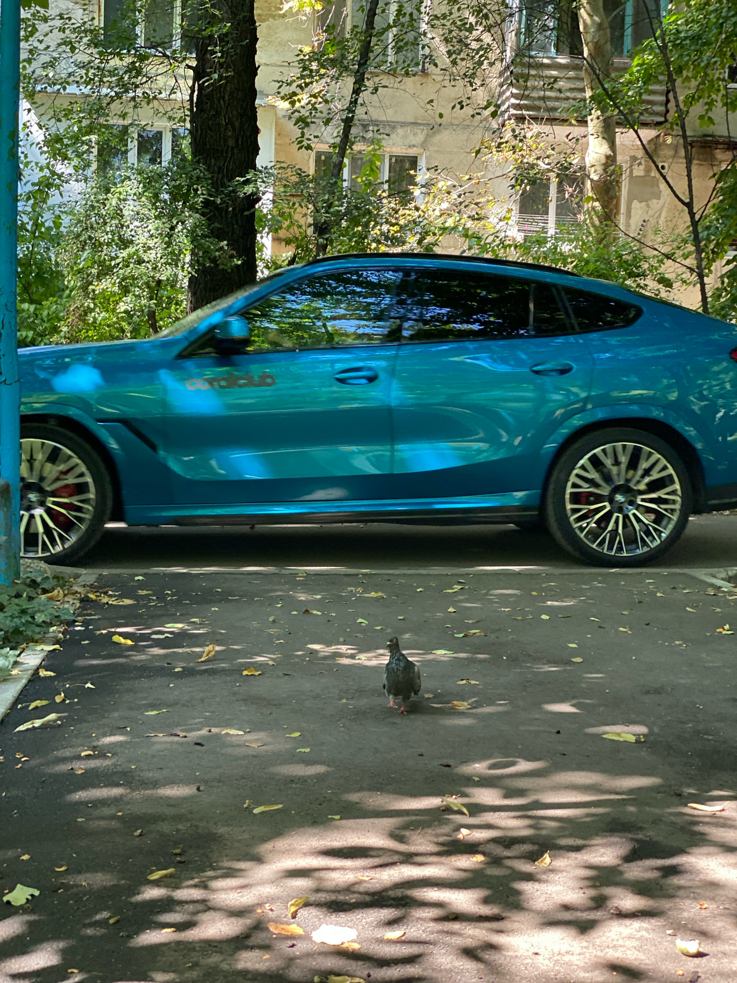 The image displays a blue car parked on a paved surface, likely a street or parking lot, in Chișinău, Moldova. The car, a coupe with tinted windows, is positioned to the right of the frame, with its side facing the viewer. The vehicle's sleek design is accentuated by the bright, metallic paint. In front of the car, a single pigeon stands on the asphalt, looking towards the viewer. The ground is scattered with fallen leaves, indicating an outdoor setting. Behind the car, a building with a worn facade is visible, partially obscured by lush green foliage and tree branches. The sunlight filters through the leaves, casting dappled shadows on the ground and the car, creating a dynamic interplay of light and shade. The overall scene suggests a quiet moment in a residential or urban area, capturing the ordinary beauty of a sunny day.