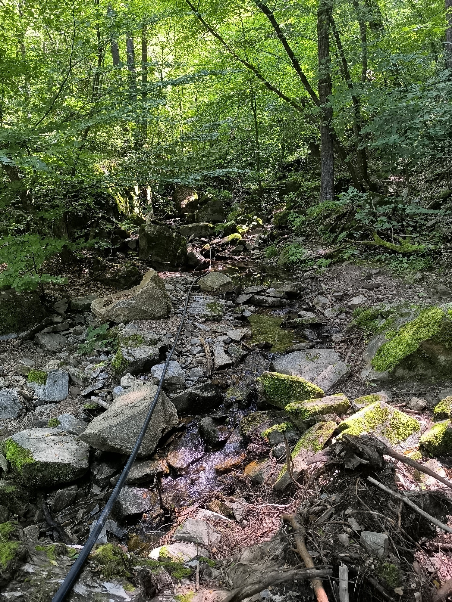 The image depicts a woodland stream bed in Kovachevitsa, Bulgaria, characterized by a rocky terrain with abundant moss growth. Sunlight filters through the dense green foliage overhead, creating dappled light on the rocks and the shallow, clear water flowing over them. A dark, flexible tube runs diagonally across the frame from the foreground to the middle ground, crossing the stream bed. The surrounding environment is lush with vegetation, including trees and various undergrowth.