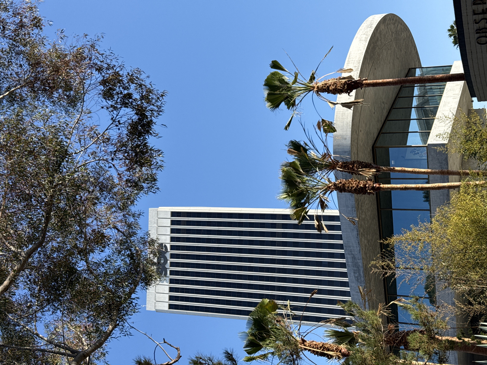 The image depicts a view of the Occidental College campus in Los Angeles, California. In the background, a tall, white skyscraper with a dark, vertical-slatted facade dominates the skyline under a clear blue sky. In the foreground, a modern, circular concrete building with large glass windows is partially visible. Several palm trees are scattered throughout the scene, with their fronds reaching towards the sky. Overhanging branches of a large tree with dark green leaves partially obscure the top of the skyscraper and the sky. The overall impression is one of a sunny day in a well-maintained urban environment with a blend of modern and natural elements.