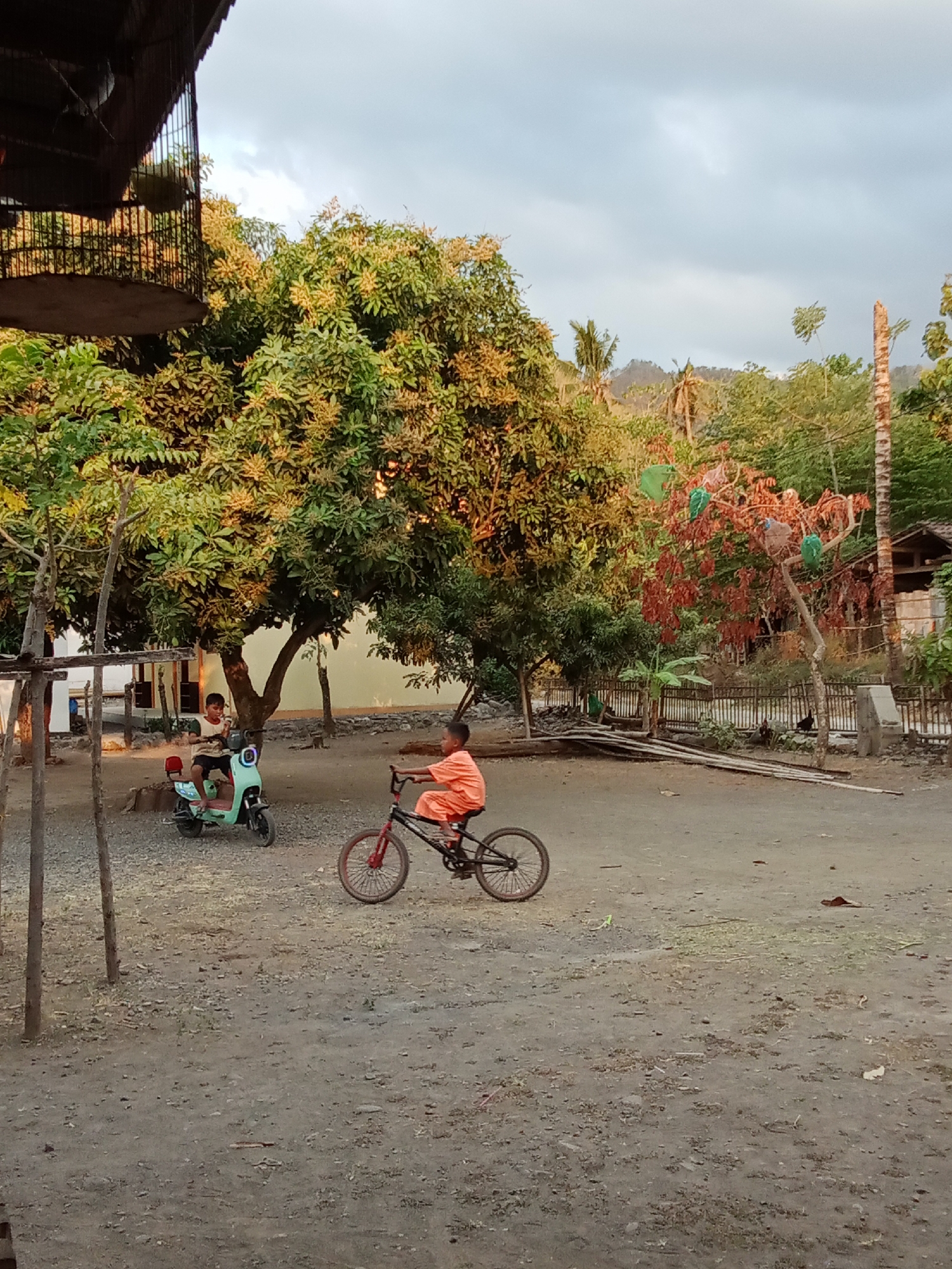 In Selowogo, Indonesia, two young boys are captured in an outdoor scene. The boy on the right is riding a bicycle, wearing an orange shirt and shorts, with his legs extended. The boy on the left is seated on a light blue and green scooter. The setting appears to be a dirt yard with scattered rocks. Behind the boys, a large tree with green and yellow foliage dominates the mid-ground. In the background, there are several smaller trees, a structure with a thatched roof, and a distant hillside covered in vegetation. The sky is overcast with a hint of sunlight. A bird cage is visible in the upper left corner of the image.