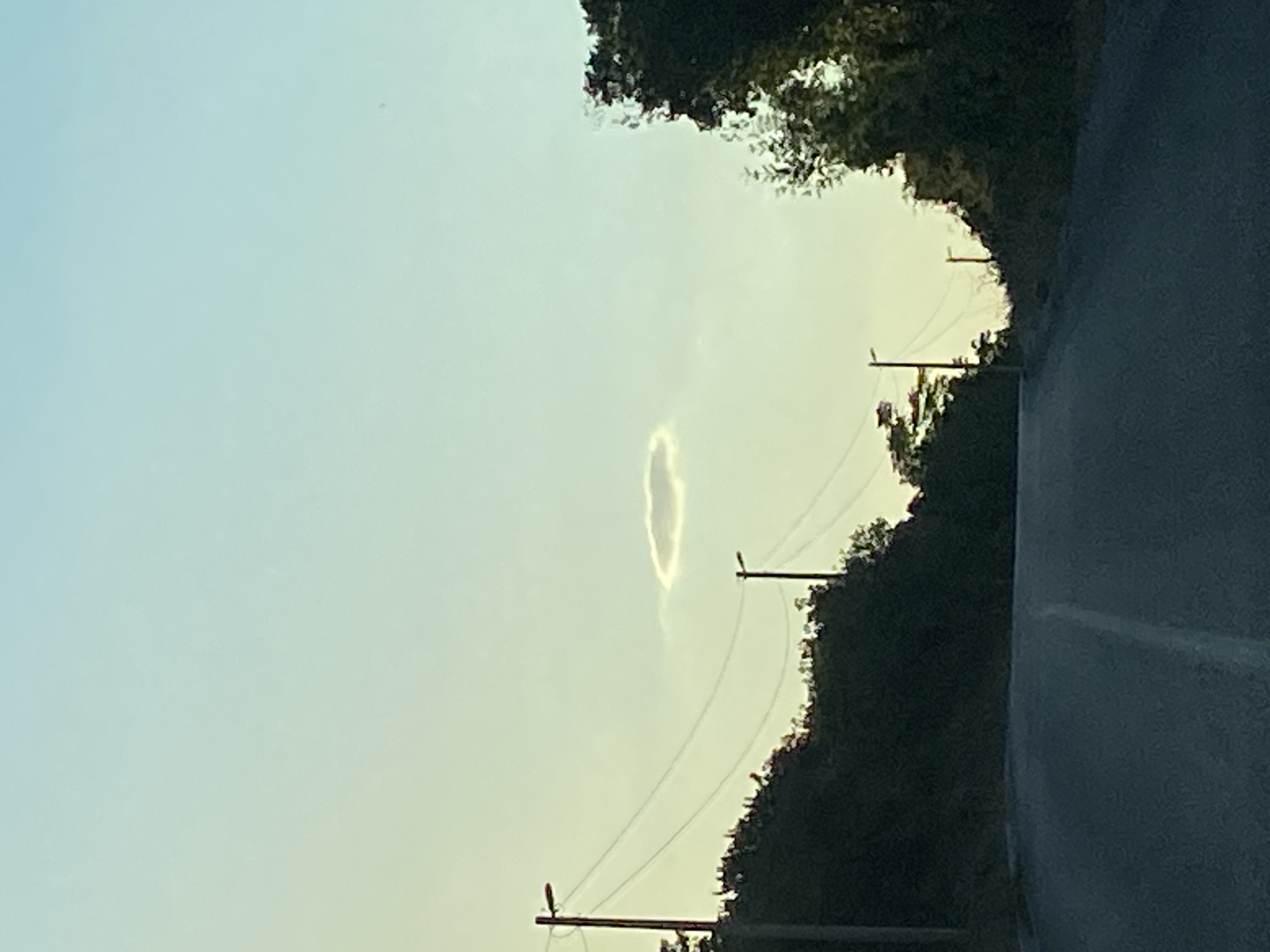 This image shows a road in Višnjevo, Montenegro, leading towards a distant horizon. The sky is a gradient of pale blue and yellow, suggesting it is either dawn or dusk. A single, small, lenticular cloud is visible in the upper center of the frame, illuminated by the setting or rising sun. On either side of the road, hills are covered in dark green foliage, with trees and bushes obscuring much of the landscape. Several utility poles with power lines stretch across the scene, adding a man-made element to the natural surroundings. The road itself is paved and dark, with a faint white line marking the center. There are no people or vehicles visible in the image, creating a sense of solitude and stillness.