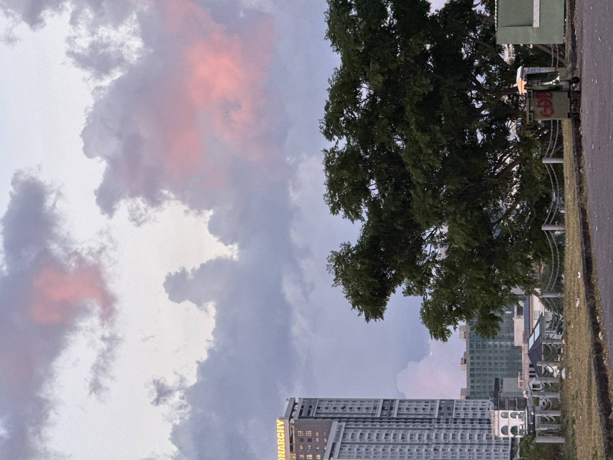In Đà Nẵng, Vietnam, the image captures an urban landscape under a dramatic sky. A tall, modern skyscraper, branded with "MONARCHY" in illuminated yellow lettering, dominates the left side of the frame. It stands amidst other buildings, some of which appear to be under construction or in various stages of development.
In the foreground, a large, dense tree with dark green foliage partially obscures the view of the city skyline. At the base of the tree, a weathered, green dumpster with red graffiti is visible. The ground in the immediate foreground is unkempt, covered in dry grass and scattered litter, suggesting a public or semi-public space. A metal fence with cylindrical posts and chains runs across the middle ground, separating the paved area from the grassy embankment.
The sky is a spectacle of twilight, with heavy, grey clouds interspersed with patches of soft pink and purple hues, indicating either sunrise or sunset. The overall atmosphere is moody and transitional, blending the artificial structures of the city with the natural elements of the tree and the sky. There are no people visible in the image.