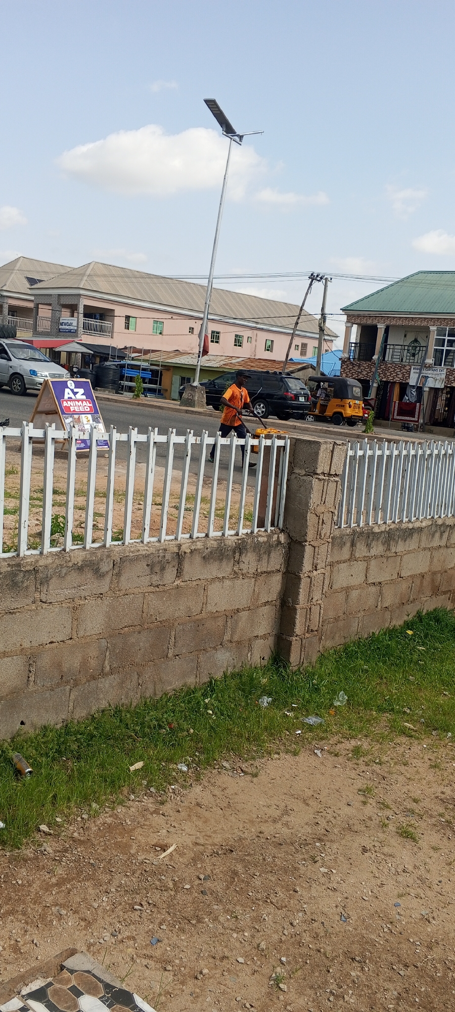 A street scene in Jalingo, Nigeria, features a man in an orange shirt pushing a cart filled with goods. He is walking on the road next to a black SUV. To the left of the man, a silver car is parked, and next to it is an A-frame sign advertising "AZ ANIMAL FEED." In the background, several buildings line the street, including a pink, two-story building with "NEWDAY" visible above a storefront and a green-roofed building with "WINNERS CURTAINS ENT." A yellow auto-rickshaw is also visible parked on the street. The sky is partly cloudy, suggesting it is daytime. A white metal fence runs along the foreground, separating the road from a grassy area and a low brick wall. The overall impression is of a busy commercial street.