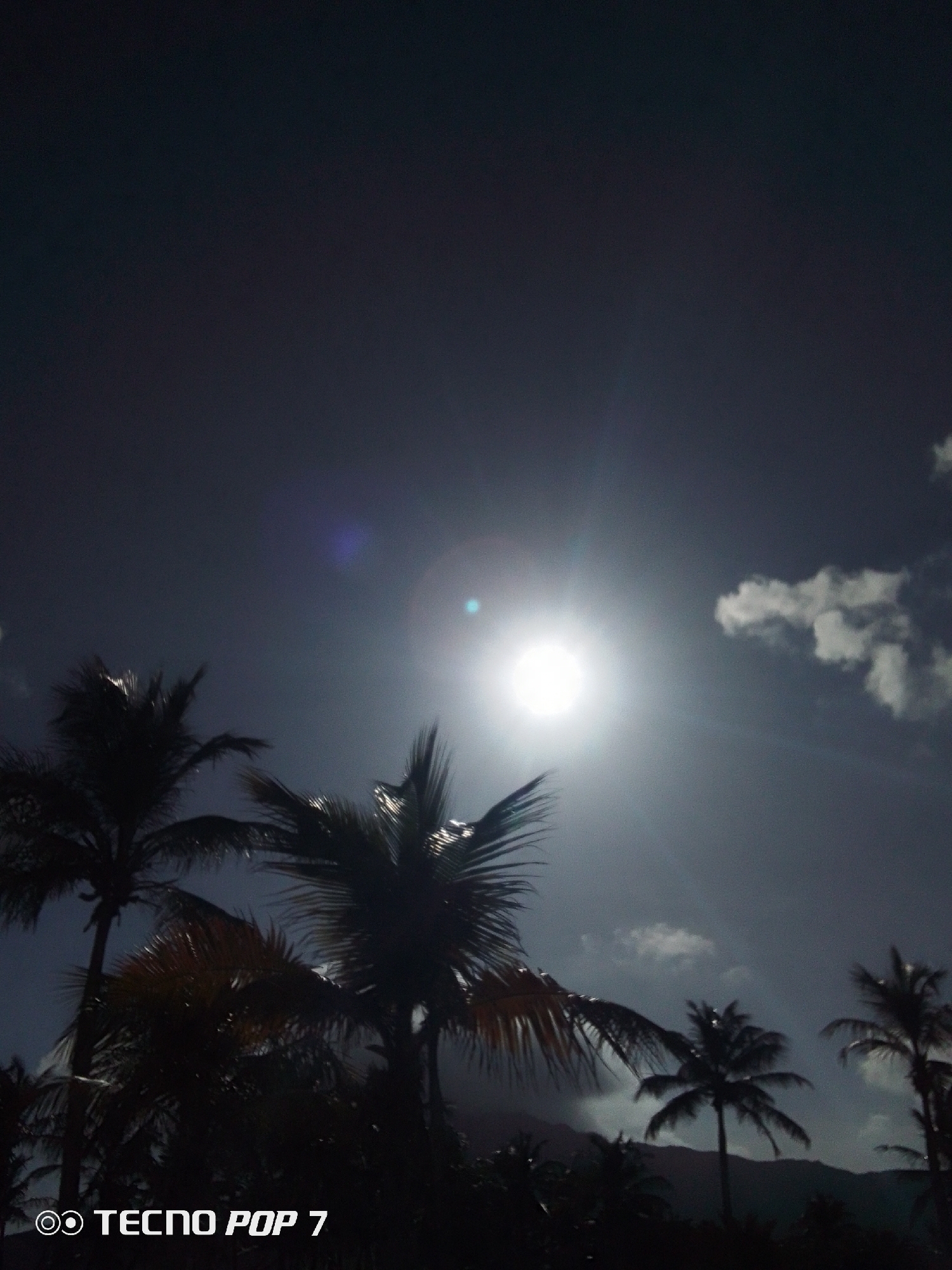 The image depicts a daytime scene with palm trees silhouetted against a bright sun and sky. Some clouds are visible. A mountain range is visible in the distance. The text "TECNO POP 7" is visible in the lower left corner. The photograph was taken in the city of Pedro González, Venezuela.