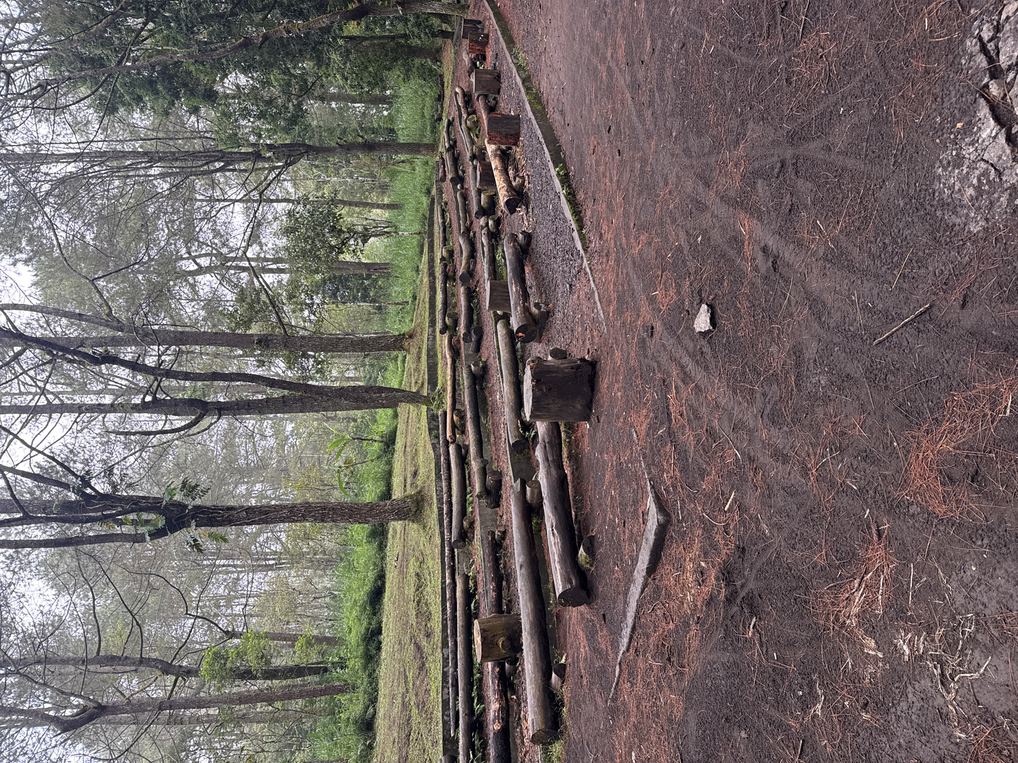 This outdoor scene in Kintamani, Indonesia, shows a forest clearing with rows of wooden logs serving as seating. The ground is covered in dark soil and scattered pine needles. Tall trees surround the clearing, some with visible branches, and light fog obscures the view in the background. There are no people present in the image.