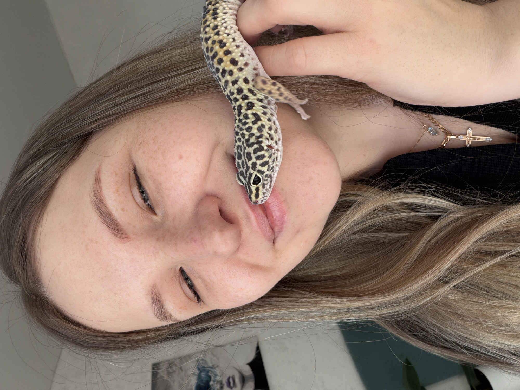 A light-skinned woman with blonde hair and freckles is holding a leopard gecko. The gecko is positioned with its head near her lips. The woman is wearing a black shirt and a gold cross necklace. The background is a light gray/white surface with a blurred image of what seems to be a picture. There's no evidence to indicate that this image was taken in Chaikovsky, Russia.