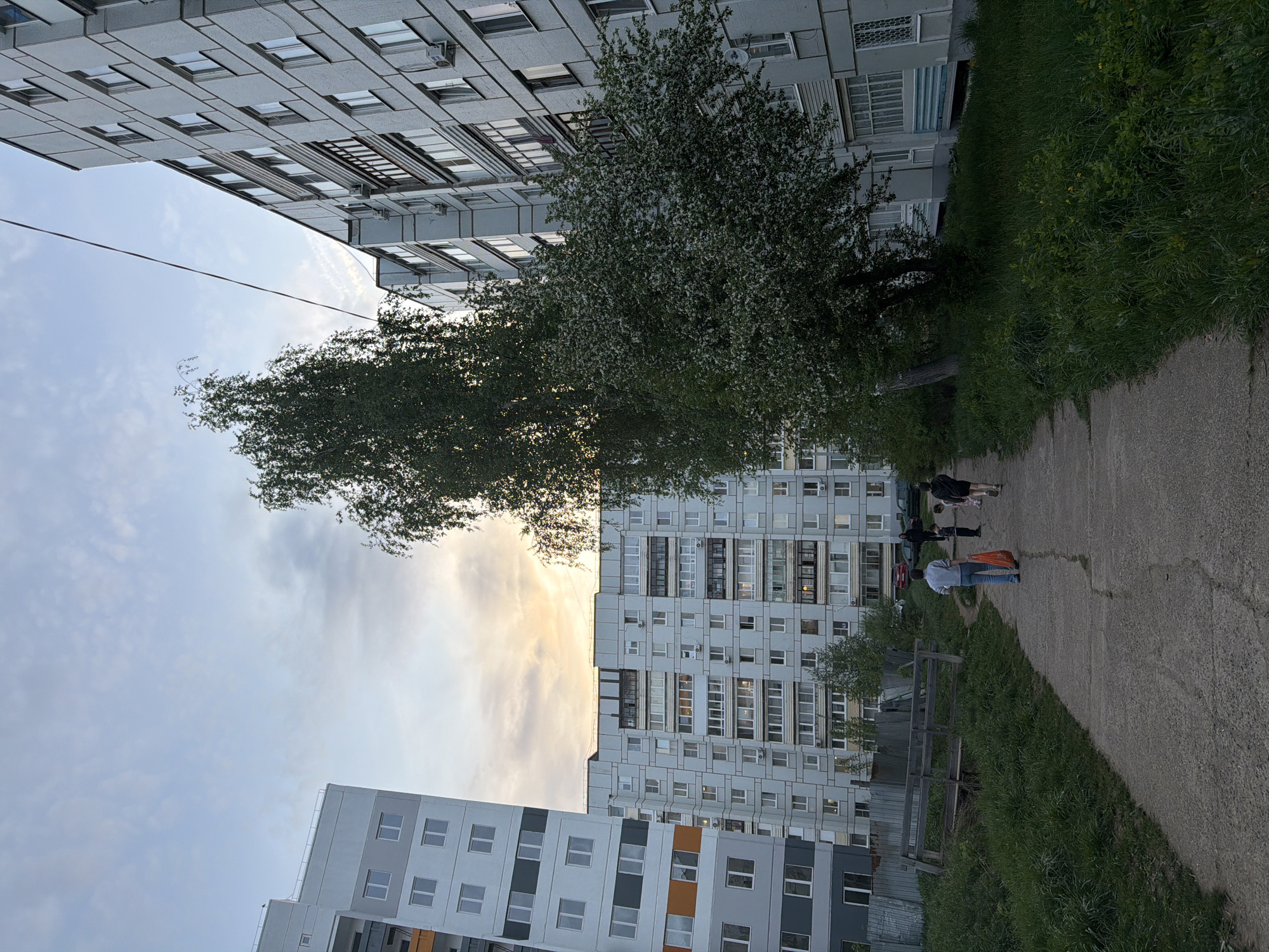 The image shows an outdoor scene in what appears to be a residential area in Chaikovsky, Russia. The sky is visible above multi-story apartment buildings with a mix of gray and white facades. Several trees, one with white blossoms, are interspersed between the buildings. A paved path runs through the foreground with grassy areas on either side. Several people are walking along the path, with one carrying an orange bag. A wooden fence is visible to the left of the path.