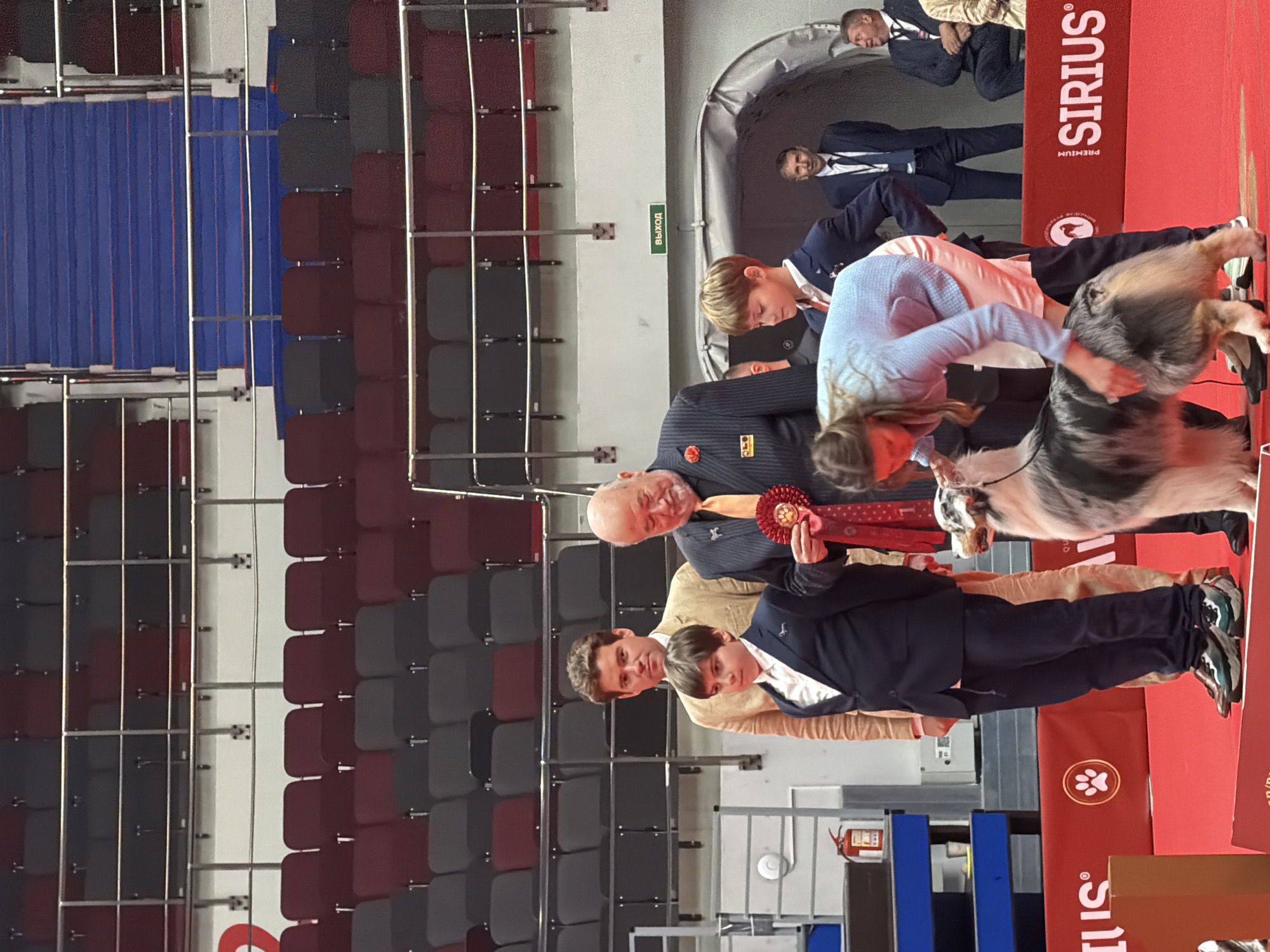 In Saint Petersburg, Russia, within a stadium-like venue featuring tiered seating in red and gray, a dog show is underway. Four individuals, two adult males and two boys, are positioned on a red carpeted platform. The leftmost adult, wearing a light tan blazer over a white shirt, stands next to a young boy in a dark blue suit and white shirt. To their right, an older man in a dark pinstripe suit with a bright orange tie is holding a red rosette. He is standing next to another young boy, also in a dark suit and white shirt, who is looking down. A woman in a light blue sweater and a light pink skirt is attending to a large Australian Shepherd dog, brushing its tail. The dog is predominantly black, white, and gray with brown markings. In the background, a man in a dark suit and tie stands near an arched doorway, and another man in a similar suit is seated to the far right. A green sign with the word "ВЫХОД" (Exit in Russian) is visible above the arched doorway. The overall scene suggests an award ceremony or presentation at a dog show.