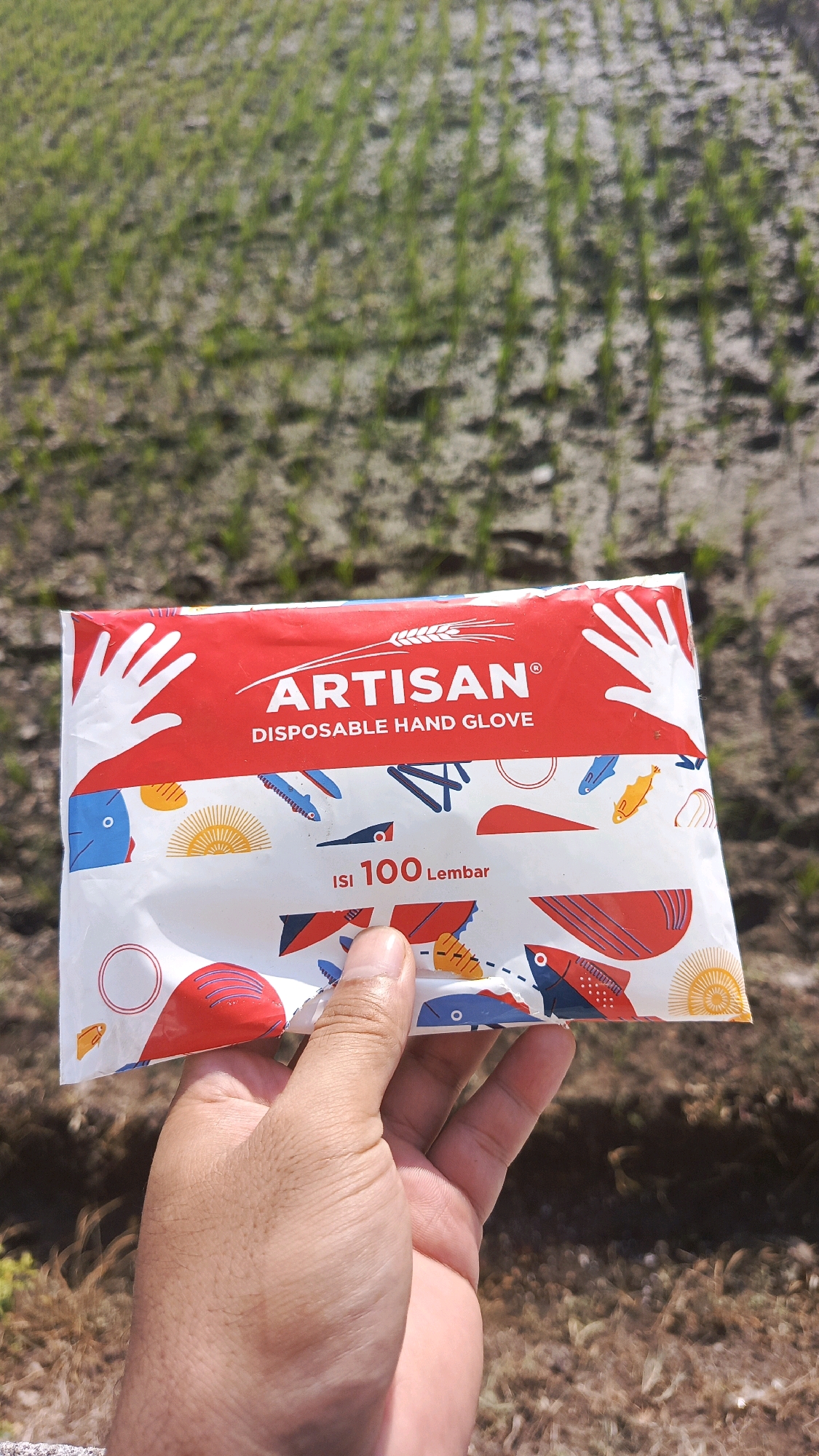 An outdoor medium shot captures a person's hand holding a red and white package of "ARTISAN DISPOSABLE HAND GLOVE" in Babadan, Indonesia. The package displays colorful illustrations of fish and sun symbols. The background consists of a blurred field with rows of green plants, typical of agricultural land. The image is taken from a slightly low angle, with the hand positioned in the lower center of the frame.
