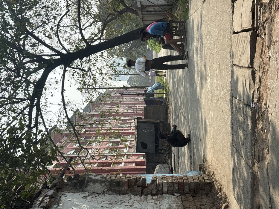 The image depicts an outdoor street scene in what appears to be an urban or semi-urban setting, viewed during bright daylight. The scene is captured with a natural, unposed quality, showing everyday life.

In the foreground, a crumbling, reddish-brown brick wall or structure, partially covered in chipped white plaster, runs across the bottom of the frame. The ground directly in front of this wall is rough and unpaved.

To the left, a large, mature tree with a thick trunk and extensive branches dominates the left side of the frame. Its branches, some bare and some sparsely covered with green leaves, extend towards the center and top of the image, obscuring part of the sky.

A paved road or pathway runs through the midground, extending from the lower right towards the upper left (if the image were rotated 90 degrees clockwise to be upright). This path appears to be made of concrete or asphalt. To the right of the paved path, there's a rugged, unpaved strip of ground composed of large, irregular stones and dirt.

Several individuals are present on or near the paved path:
*   A man dressed in a white collared shirt and dark trousers (possibly black or dark brown) stands on the paved path. He is wearing sandals and is facing slightly away from the viewer, looking towards the right side of the frame.
*   Further along the path, behind the standing man, two men are seated on low wooden chairs. One man, wearing a blue t-shirt and dark shorts, is leaning forward, seemingly engaged in an activity on the ground in front of him. The other man, dressed in a pink or reddish t-shirt and dark pants, is seated opposite him, appearing to observe or await his turn.
*   Closer to the foreground, on the paved path near the crumbling wall, a person (possibly a child or small adult) is sitting on the ground with their knees drawn up, dressed in dark clothing.

In the background, behind the tree and the people, a multi-story building with reddish-brown brick walls and numerous windows is visible. The building has a somewhat ornate, possibly older architectural style. The sky overhead is bright but somewhat hazy.

The activity suggests a casual street setting, possibly a small business or gathering, with the men on chairs perhaps engaged in a service like shoe shining or a similar roadside occupation. The bright sunlight suggests it is mid-morning or afternoon, and the weather appears clear. No visible text is present in the image.