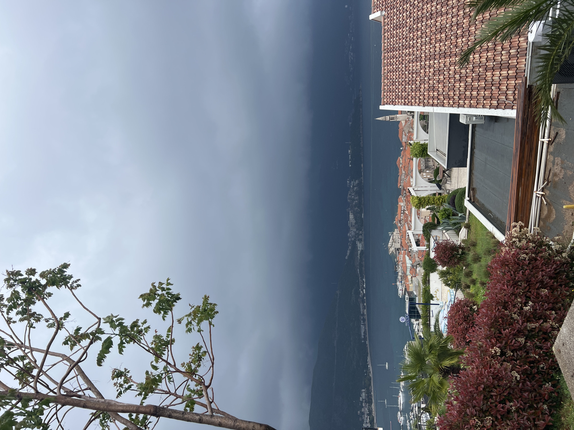 The image presents a landscape view taken from an elevated position, possibly a building or high ground in Budva, Montenegro. The perspective is sideways, with the town oriented vertically.
The sky is overcast, with dark storm clouds occupying a significant portion of the top left frame. Below the clouds, the scene transitions to a coastal area with a dark, calm sea extending towards the horizon. A narrow strip of land borders the sea, showing a road and structures suggesting a waterfront promenade.
A dense cluster of buildings with terracotta roofs, typical of the region, forms the core of the town's built environment. A church tower is visible among the buildings.
In the foreground, on the right side, is part of a roof with terracotta tiles and a flat roof next to it. Lush vegetation, including bushes with reddish foliage, palm trees and greenery, fills the lower right corner, suggesting a garden or terrace. On the lower left, a tree branch extends diagonally, adding to the sense of depth.
The presence of boats in the harbor indicates maritime activity. The overall environment appears serene, but the ominous sky suggests an impending storm.