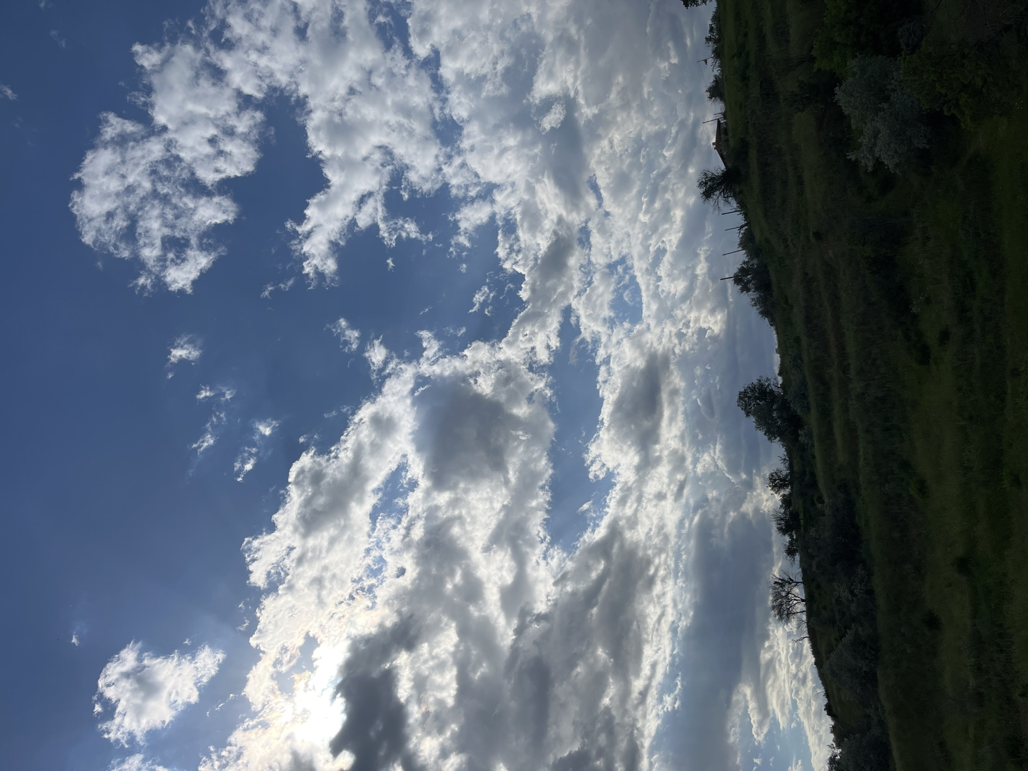 The image shows a view of a grassy hillside with scattered trees against a cloudy blue sky. The location appears to be somewhere on the outskirts of a city due to the natural setting with minimal man-made structures. Given the prompt, the location is likely Varna, Bulgaria. No people are visible. The primary subjects are the clouds in the sky and the natural landscape of the hillside.