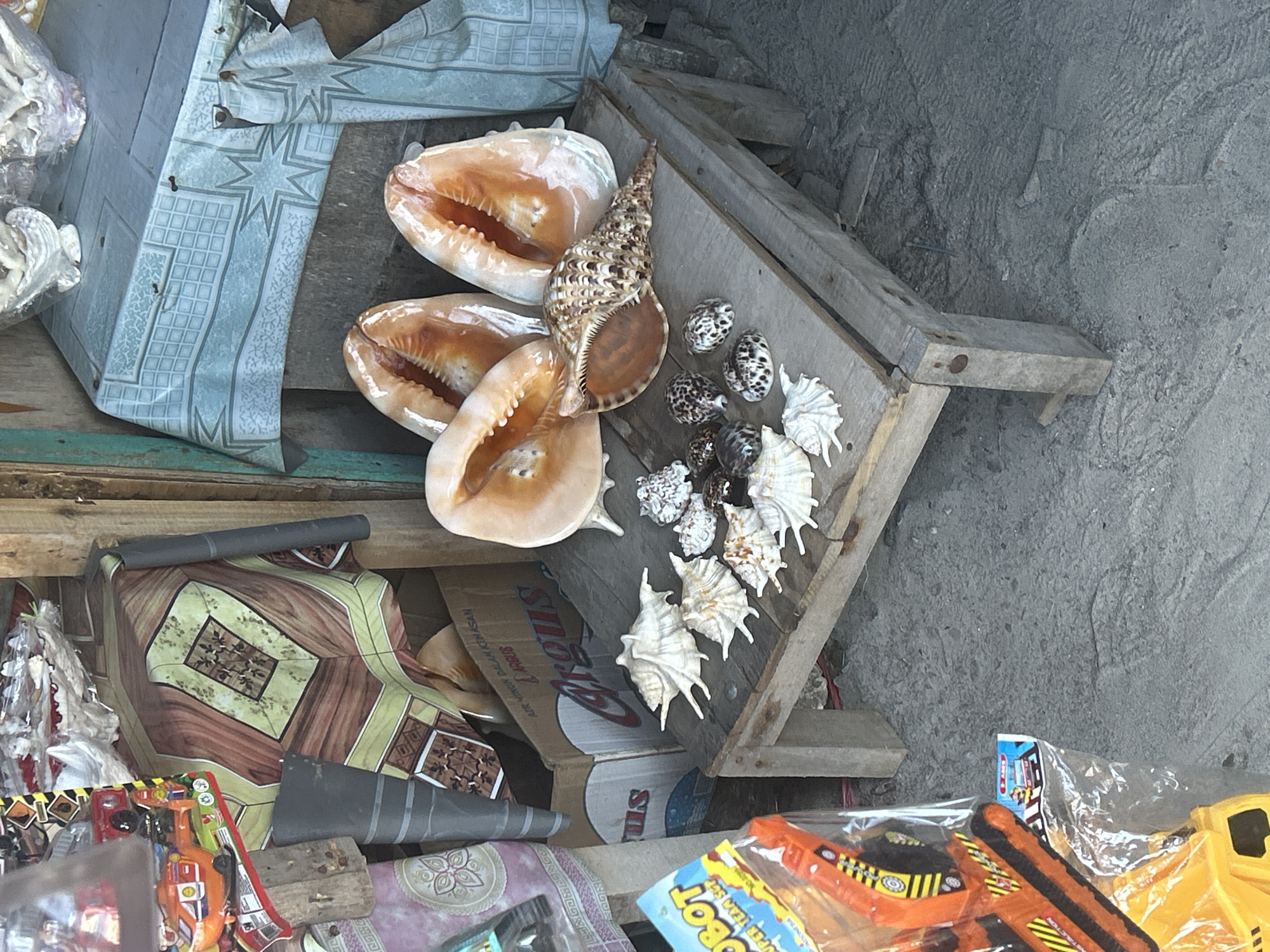 This is a medium shot of a market stall in Bira, Indonesia. In the foreground, on a wooden table, are a variety of seashells, including large conch shells and smaller, patterned shells. Behind the seashells, to the left, is a cardboard box with Indonesian text. Above the box, draped fabric with a patterned design is visible. To the right of the seashells, a light blue tablecloth with a geometric pattern covers a surface. In the far left of the image, part of a toy, possibly a construction vehicle, is visible, wrapped in plastic. The ground appears to be dirt or sand. The scene suggests a display of items for sale in an outdoor market.
