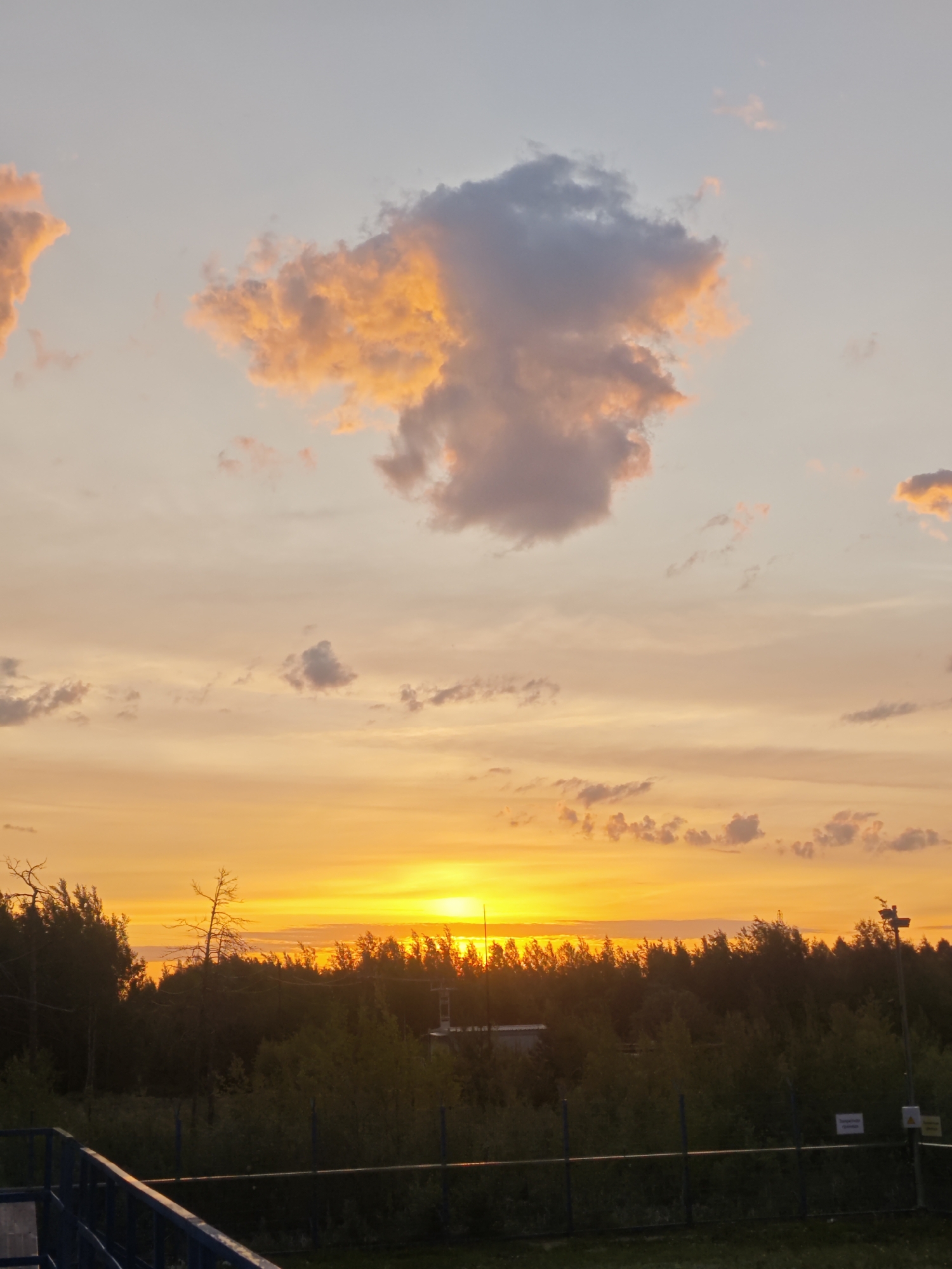An outdoor, vertical, full shot captures a sunset over a silhouetted forest with a fence in the foreground. The sky is ablaze with warm colors, transitioning from a bright yellow and orange at the horizon to soft peach and pale pink hues higher up. Fluffy clouds are scattered across the sky, some tinged with orange from the setting sun, while others appear a soft gray. The sun itself is a brilliant orb peeking through a gap in the tree line. The forest appears dense and dark, with the tops of trees creating an uneven silhouette against the vibrant sky. A single, bare tree with gnarled branches stands out amongst the foliage. In the lower portion of the image, a dark fence runs horizontally across the scene, partially obscuring the ground which is covered in grass. A blue railing is visible in the bottom left corner of the image. The overall atmosphere is one of peaceful twilight.