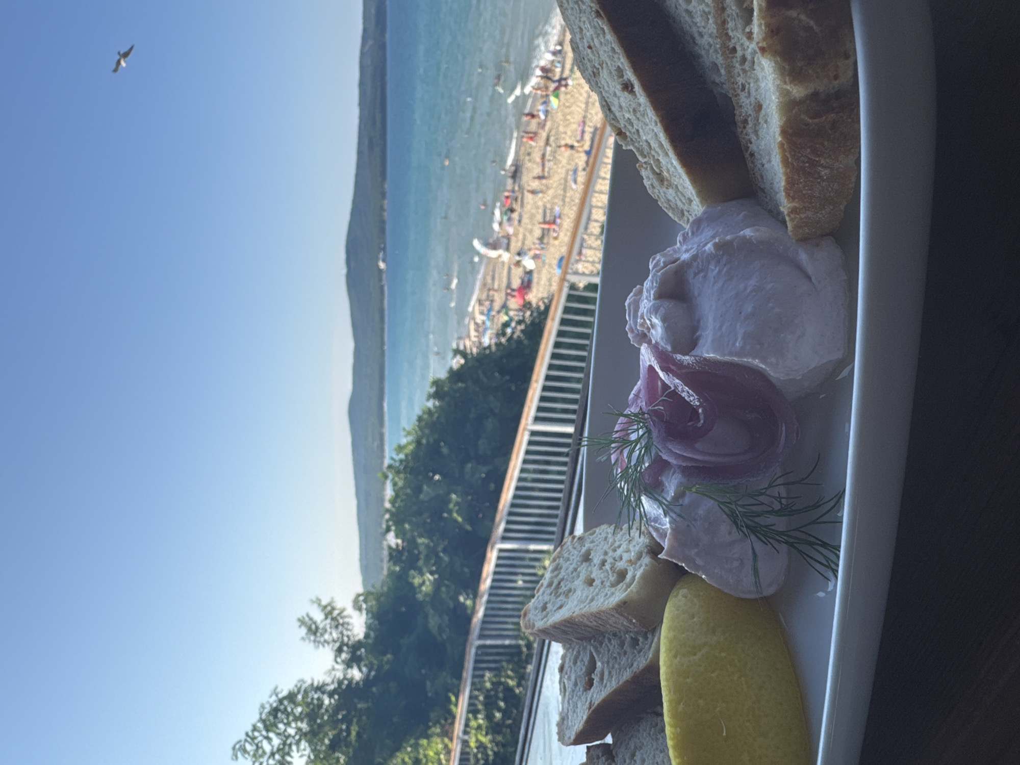 A close-up shot captures a plate of food in the foreground, with a beach scene in the background. The plate contains sliced bread, a wedge of lemon, a dollop of creamy spread topped with thinly sliced red onion, and a sprig of dill. Beyond the plate, a white railing separates the viewer from a bustling beach filled with sunbathers and umbrellas. The sea stretches out to the horizon, meeting a distant, tree-covered hill under a clear blue sky. A single bird is visible in flight in the upper right corner of the frame. The overall scene suggests a meal enjoyed with a view of the Black Sea coast in Primorsko, Bulgaria.