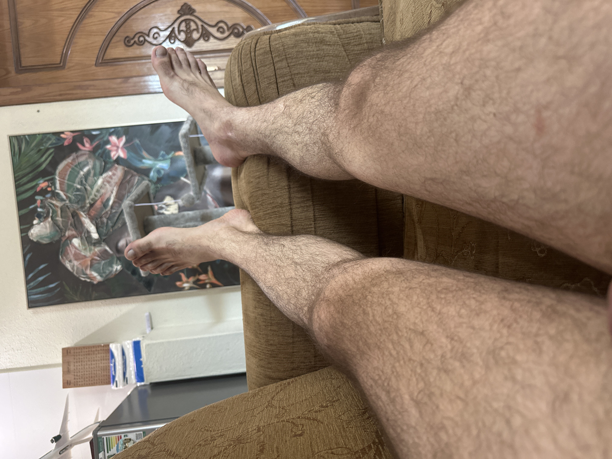 This media file depicts a close-up view of a person's legs resting on a brown armchair. The scene appears to be indoors, possibly in a living room or lounge area, given the presence of furniture and a framed artwork visible in the background. The artwork features a tropical motif with lush green foliage and colorful flowers, suggesting a vibrant or decorative element within the room.
The person's legs are covered in light brown hair. Their feet are visible, one resting higher than the other, indicating a relaxed posture. The armchair is made of a textured brown fabric, with visible pleats and a subtle pattern. Behind the armchair, a wooden door with decorative carvings is partially visible. There are also some items on a surface in the background, including what appears to be a framed picture or art piece with a floral design, some packaged items that could be tissues or personal care products, and a model airplane. The lighting suggests it might be daytime, as there is no indication of artificial light sources being dominant.
There is no discernible activity or event taking place beyond the person resting their legs. The overall mood conveyed is one of relaxation and casual comfort. The location context of Riyadh, Saudi Arabia, is provided, but there are no specific visual cues within the image that explicitly confirm this location beyond general interior design elements that could be found in various regions. No visible text is clearly legible within the image itself, although some faint text may be present on the packaged items in the background, it is too indistinct to read.