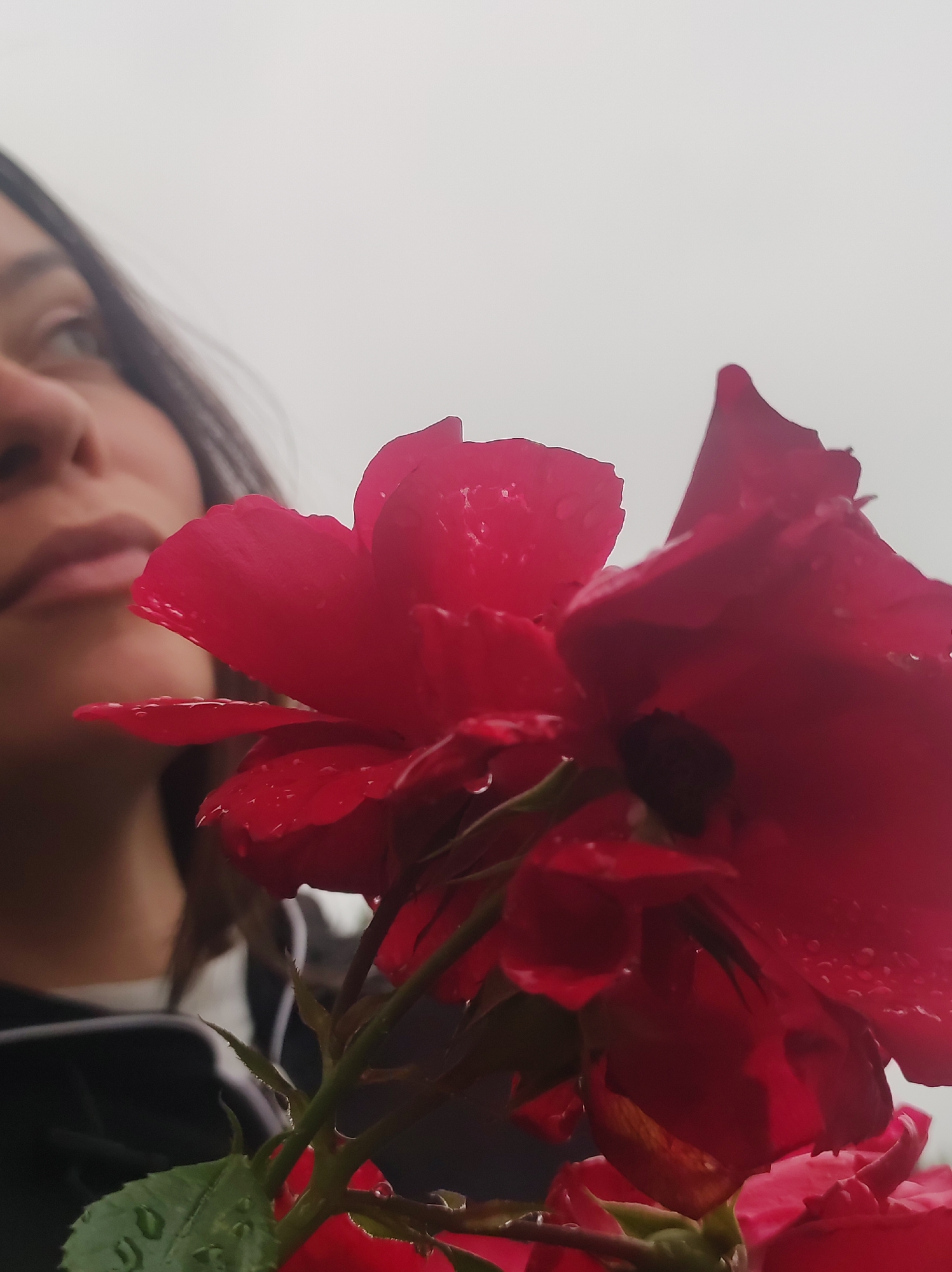 A close-up, low-angle shot focuses on a cluster of wet, red rose petals, with a portion of a woman's face visible in the blurred background. The woman, seen from the side, has dark hair and is looking upwards and to the left. Her nose and lips are slightly blurred, and she appears to be wearing a dark top with white trim. The roses are dewy, indicating recent rain or moisture. The background is an overcast, light gray sky. The location is not specified in the image.