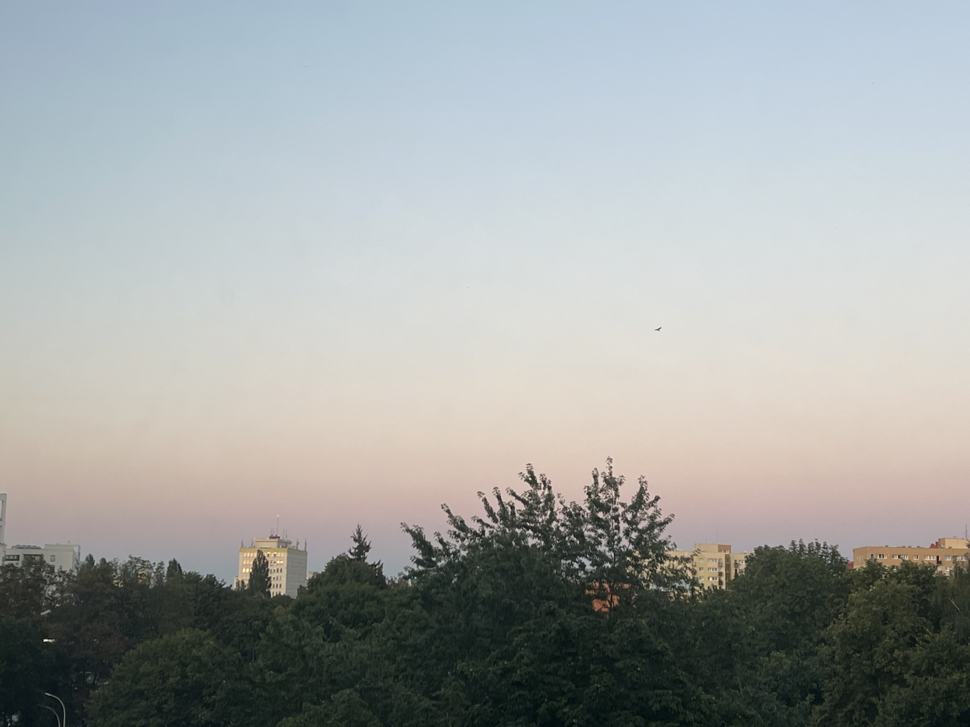 The image captures a suburban cityscape of Warsaw, Poland, during dusk. The sky transitions from a pale blue at the top to a soft pink and orange hue near the horizon, indicating the setting sun. A lone bird is visible in flight against the vast sky. Below, a dense canopy of green trees dominates the midground, with various building structures emerging from behind them. The buildings appear to be residential or office blocks, typical of urban outskirts. Some of the buildings are illuminated, suggesting interior lights are on. The overall atmosphere is serene, characterized by the calm transition from day to night.