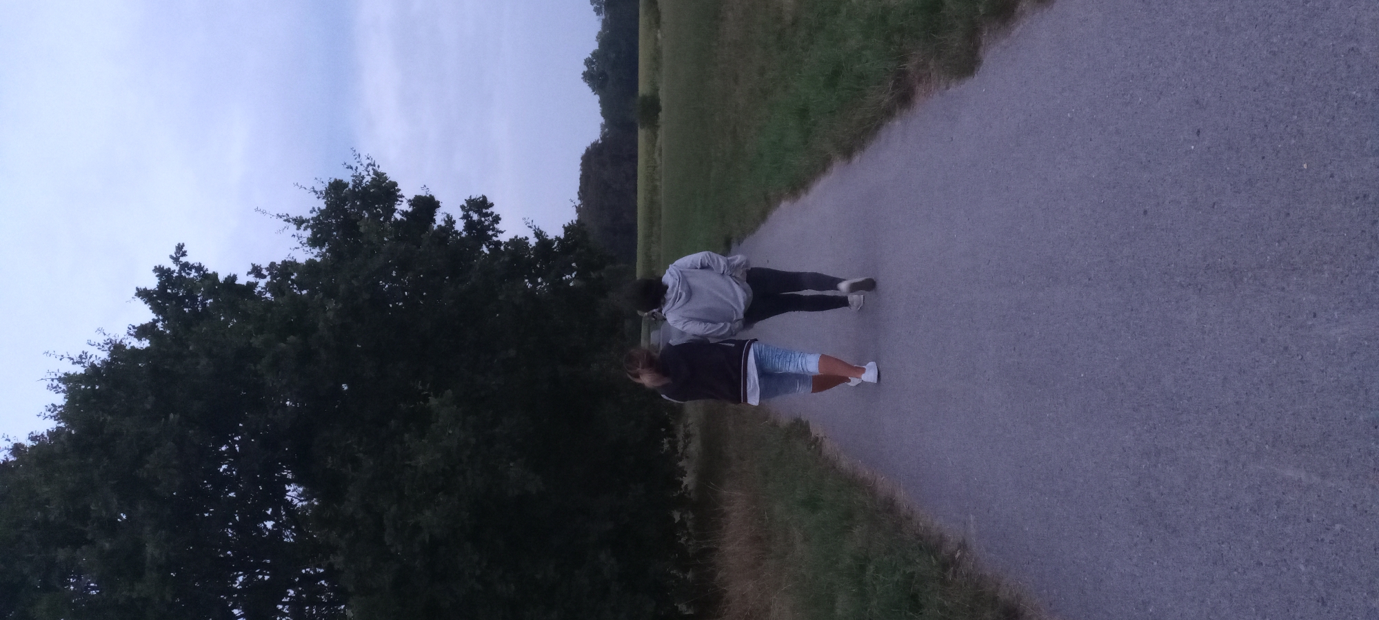 The image shows two people walking away from the camera on a paved path. The person on the left is wearing a dark jacket over a white shirt and light blue capri jeans, with white sneakers. The person on the right is wearing a light gray hooded sweatshirt and dark pants, with white sneakers. They are walking side-by-side. The path is bordered by a grassy area on the left and a field on the right. A large, dark green tree is prominent on the left side of the path, behind the grassy area. In the background, there is a treeline and a hazy sky, suggesting it might be evening or overcast. The overall scene appears to be a park or natural area. There is no specific visual information in the image that allows for the identification of the city as Dortmund, Germany.