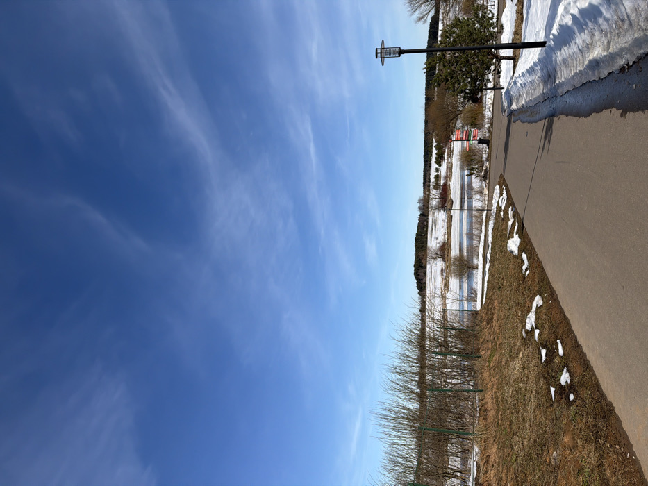 This image captures an outdoor landscape scene in Bezborodovo, Russia, characterized by transitional weather conditions. The upper half of the frame is dominated by a clear, bright blue sky with faint, wispy cirrus clouds. In the foreground, a dark asphalt paved pathway curves from the lower-left towards the mid-right. To the immediate left of the path, patches of melting snow are interspersed with brown, dry grass and exposed soil. A low green metal fence runs parallel to this section, bordering a dense cluster of bare, brown deciduous bushes or shrubs.
Further along the path, which continues into the midground, the landscape opens to reveal a partially thawed body of water, likely a pond or lake, still retaining significant areas of ice and snow on its surface. Beyond the water, fields are visible, also exhibiting a mix of snow cover and exposed ground. A distinct treeline, composed of both bare deciduous trees and dark green coniferous trees, forms the distant horizon.
On the right side of the path, a modern, dark-colored lamppost with a rectangular, slatted lantern head stands upright. Adjacent to the path on the right, a bank of snow remains. A small evergreen tree is positioned behind the lamppost. In the mid-distance, near the water's edge and before the distant treeline, a vertical pole-like structure with red and green rectangular panels is partially visible. No people are present in the scene, and no actions or interactions are depicted. The environment suggests late winter or early spring conditions with melting snow and emerging vegetation under clear daylight.
