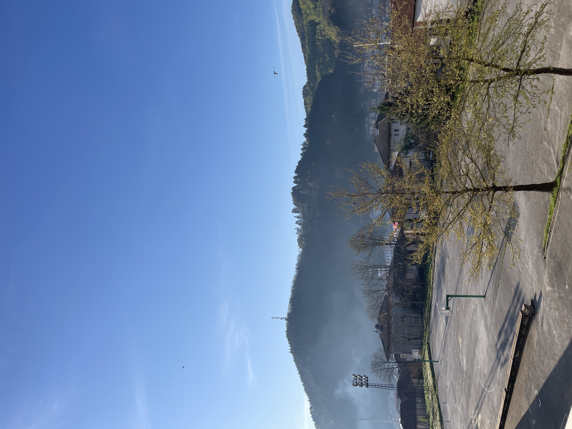 An elevated view of a landscape in Zlatograd, Bulgaria, under a clear blue sky. A forested mountain range is visible, partially obscured by morning mist or fog. In the foreground is a basketball court and bare trees starting to show buds. Scattered buildings and homes are nestled along the base and lower slopes of the mountains. A broadcasting tower stands on one of the mountain tops. A few birds are flying in the sky.