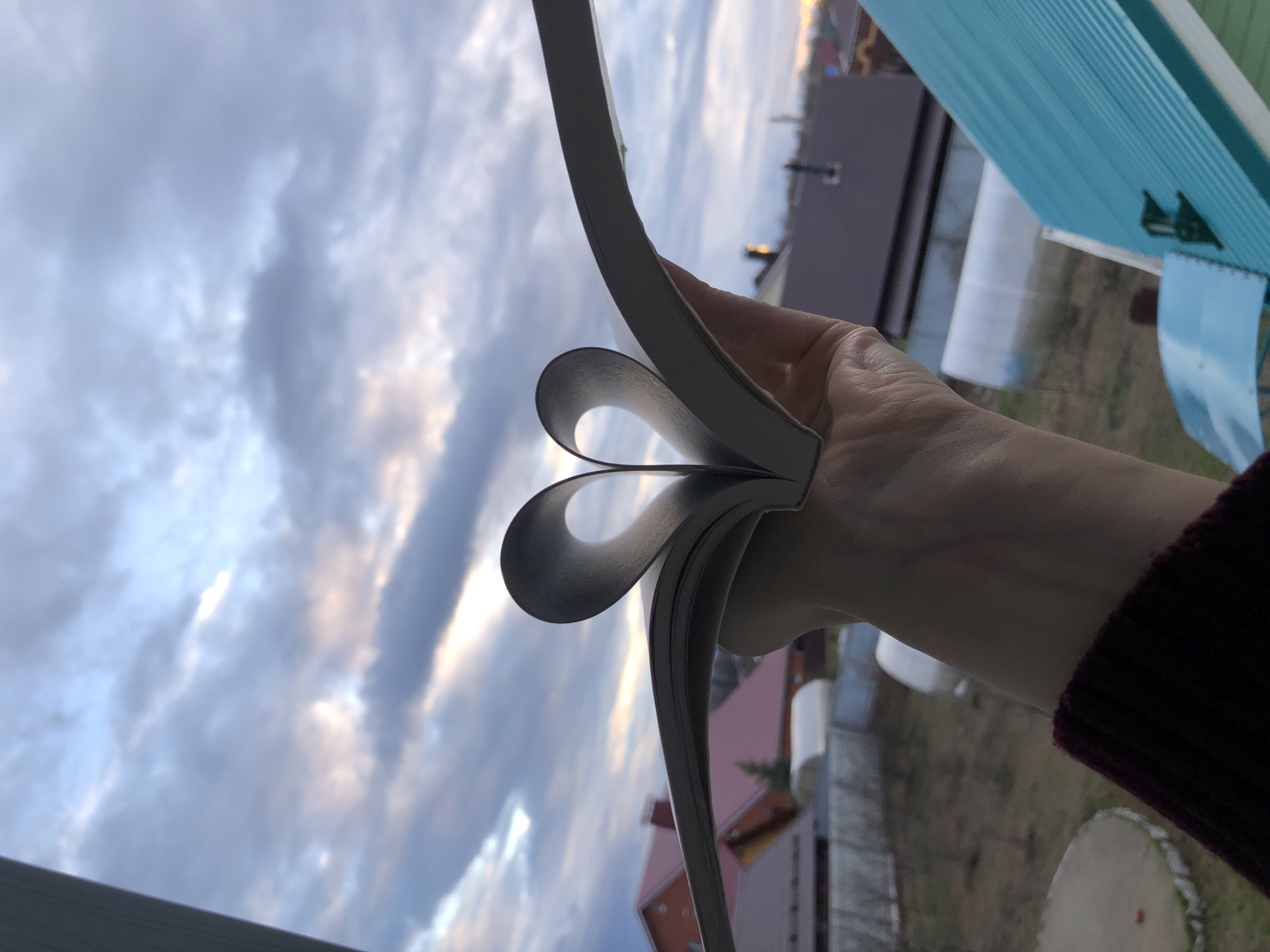 A person's hand holds an open book, its pages artfully fanned out to form a clear heart shape against an overcast sky. The hand, partially silhouetted, wears a dark, possibly burgundy, long-sleeved garment on the wrist.
The background is dominated by a cloudy sky, with diffused light breaking through the grey and white clouds, suggesting either a heavily overcast day or the soft light of dawn or dusk. Below the sky, various blurred elements indicate a residential or rural environment. Out-of-focus buildings with dark-colored roofs, possibly houses, are visible. To the right, a section of a light blue corrugated structure, potentially a fence or shed, adds a distinct color. Further down, indistinct shapes hint at outdoor ground or a yard, with a blurry, circular object on the ground in the lower right.
The image captures a moment of creative interaction with a book, transforming it into a symbol of affection or passion for reading. There is no visible text on the book or in the surroundings. The setting, located in Noviy, Russia, conveys a quiet, outdoor atmosphere.