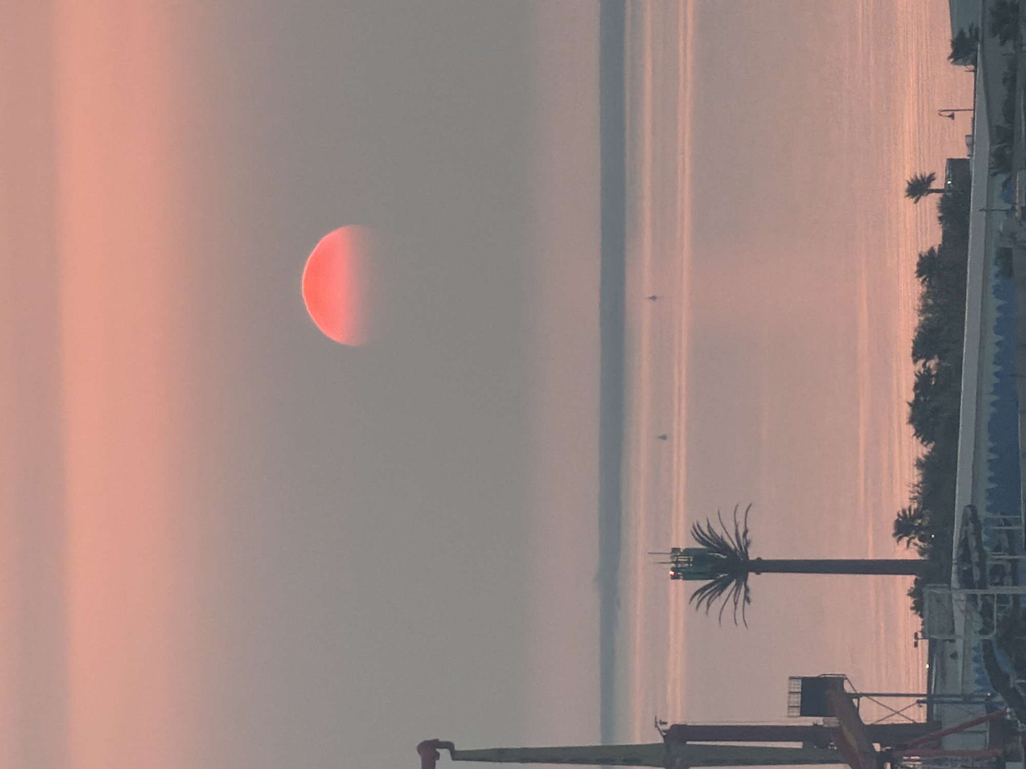 This is a vertical, medium shot photograph of a hazy sunset over a body of water. The sun is a vibrant red-orange orb, partially obscured by a layer of fog or clouds, and is positioned in the upper right quadrant of the frame. The sky transitions from a soft pink at the top to a muted grey closer to the horizon. The body of water below the horizon reflects the soft pink hues of the sky.
In the foreground, on the left side, a portion of a large amusement park ride structure is visible, with red and grey metal components. Further to the right, a tall palm tree with a communications tower integrated into its upper section stands prominently. The fronds of the palm tree fan out from the tower. Behind the palm tree, a line of smaller palm trees and other greenery can be seen. Along the very bottom of the frame, parts of what appear to be buildings or structures associated with a water park are visible, with blue and white tiling. Two small boats are visible on the water in the distance, and a faint dark line on the horizon might indicate land. The overall atmosphere is serene and tinged with the colors of sunset.