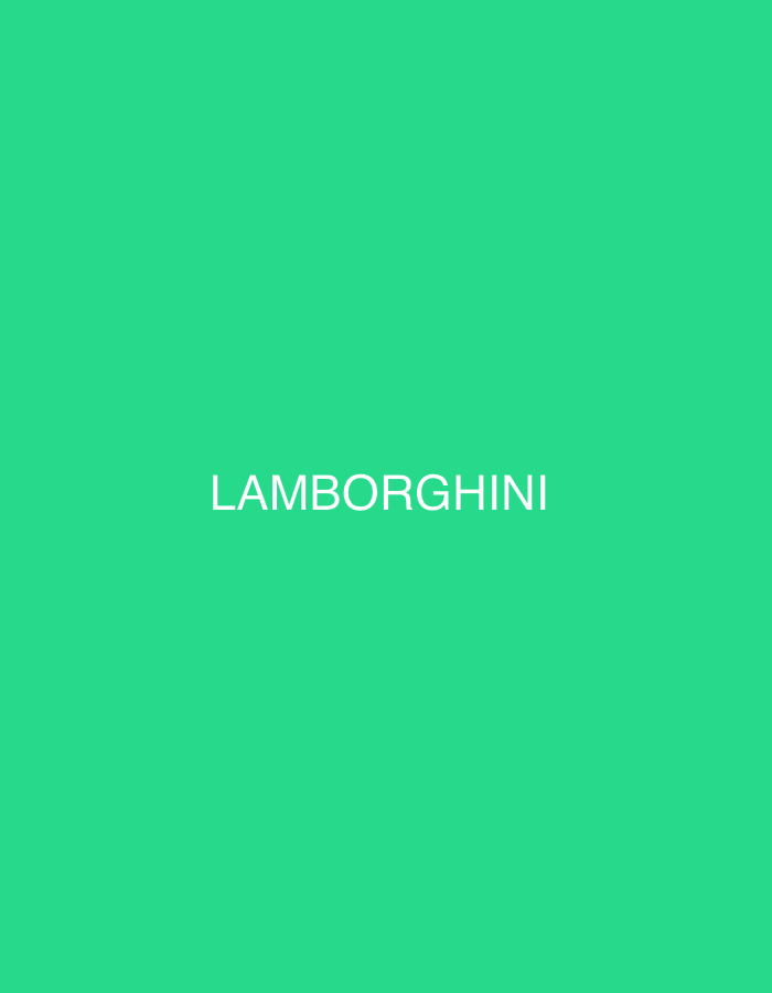 The image is a simple graphic with a solid green background. In the center of the image, the word "LAMBORGHINI" is written in white, uppercase, sans-serif font. There are no other objects, people, or discernible environmental features present in the image. The image does not contain any information that can be used to locate it in Delmenhorst, Germany.