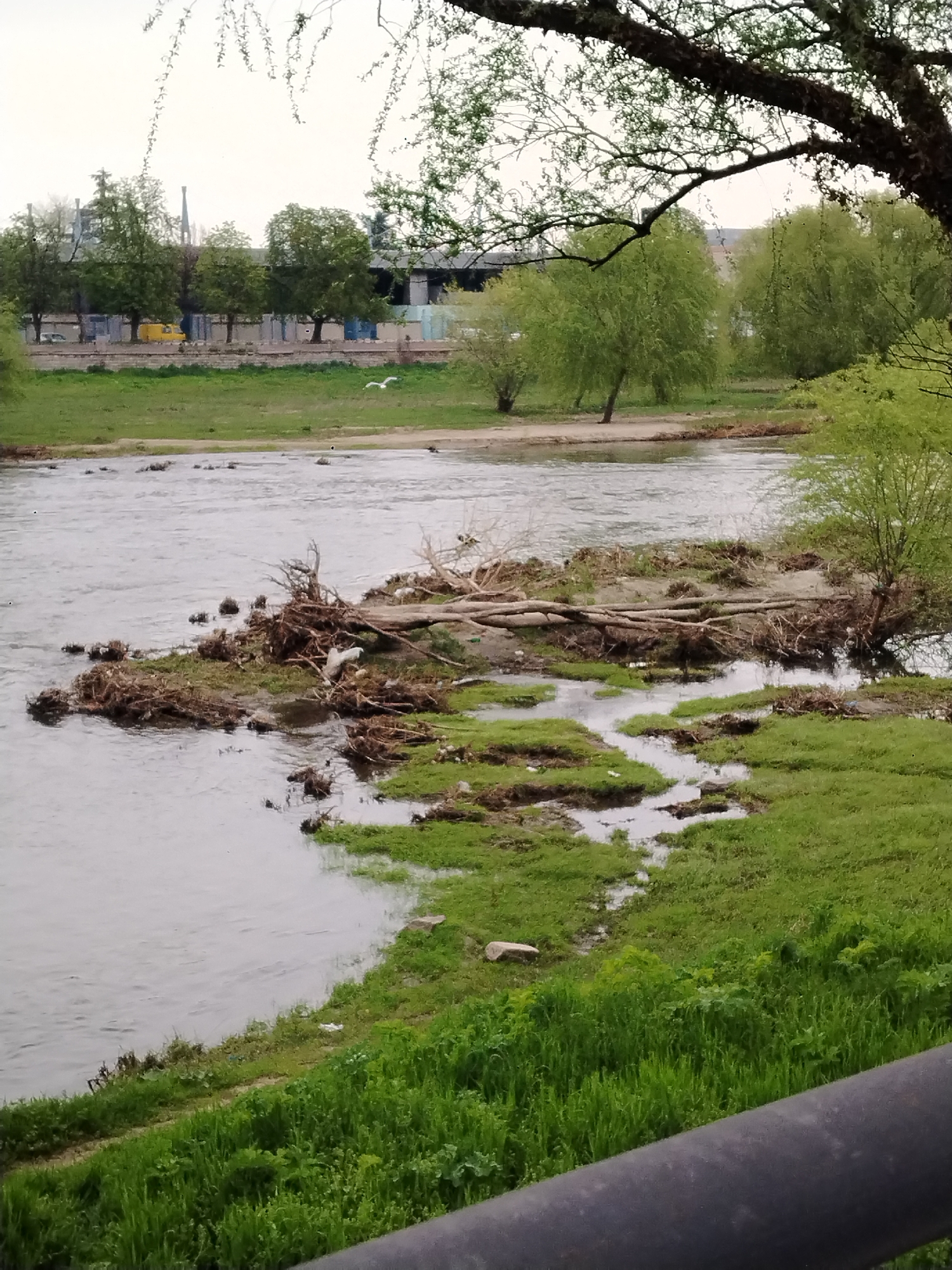 The image depicts a river landscape in Plovdiv, Bulgaria. A body of water flows from left to right, with an island-like formation in the middle cluttered with debris, including tree branches and roots. The riverbank, covered in green grass and vegetation, is visible in the foreground, partially obstructed by a dark, horizontal element at the bottom, likely a railing or fence. In the background, across the river, there's a cityscape featuring buildings, trees, and a yellow vehicle. A bird flies across this landscape. The sky is overcast, and the overall scene appears to be in a somewhat urban or suburban environment.