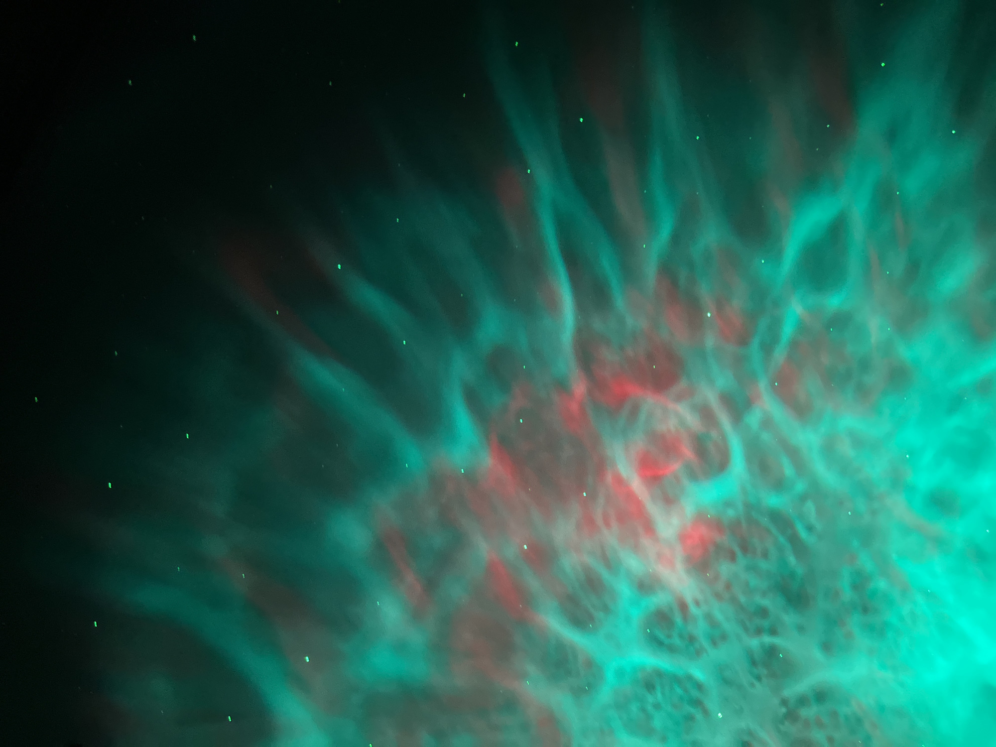 The image displays a close-up view of what appears to be a nebula or a cosmic phenomenon. Dominant colors are deep teal and a reddish-pink hue, swirling together in ethereal, cloud-like formations. Scattered throughout the teal areas are small, distinct green pinpricks of light, resembling distant stars. The background transitions from the vibrant nebula to a dark, inky blackness, creating a sense of depth and vastness. The composition is abstract and atmospheric, with no discernible objects, people, or identifiable location, including in Saint Petersburg, Russia.