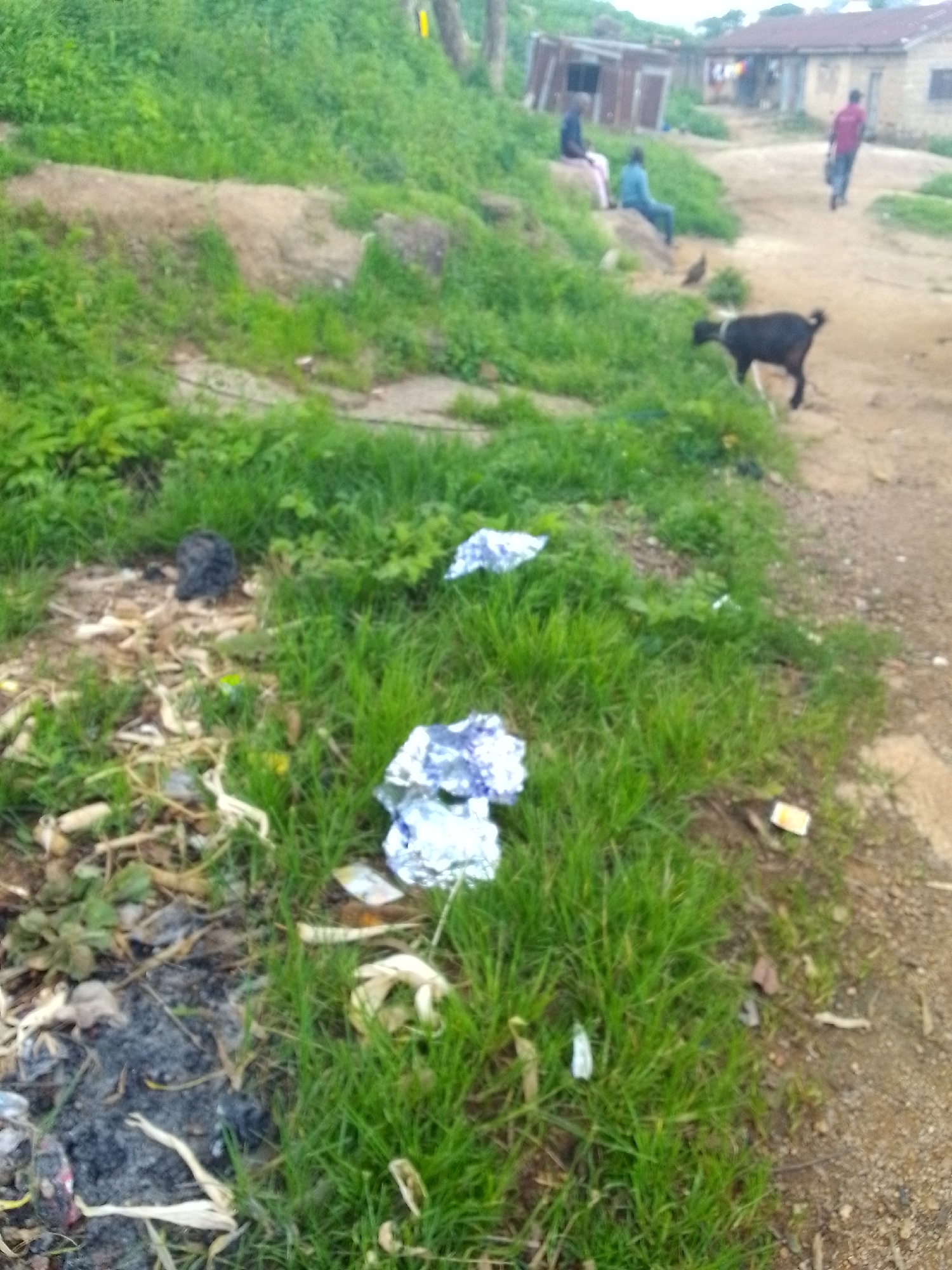 The image depicts a rural or semi-urban environment in Jos, Nigeria, characterized by a dirt path, overgrown vegetation, and rudimentary structures. A black goat with a white collar is visible in the mid-ground, grazing near a dirt path. In the background, three individuals are present: one person in a dark top and light trousers sits on a grassy incline, another person in a blue top sits further down the incline, and a third person in a red top walks away from the camera on the dirt path. Several dilapidated structures, appearing to be makeshift homes or workshops, are situated in the background. The foreground shows a patch of green grass littered with debris, including what appears to be burnt material or ash, dry stalks, and crumpled pieces of metallic or plastic wrapping. The overall scene suggests an informal settlement with elements of domestic animals and the presence of people engaged in everyday activities.