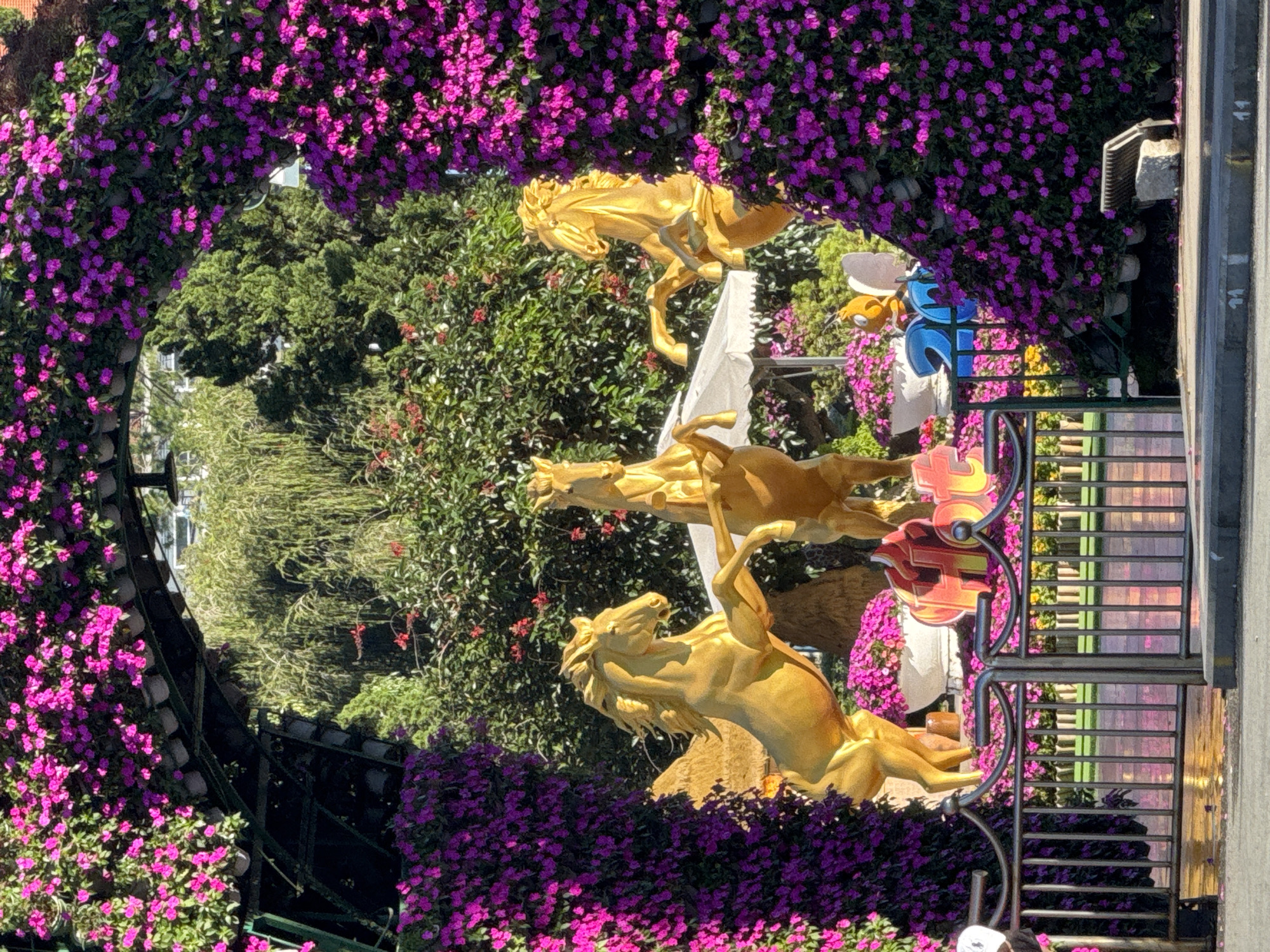 The image shows a vibrant floral archway framing a scene with three golden horse statues. The archway is heavily adorned with dense clusters of bright pink-purple flowers, creating a tunnel-like entrance. The statues are positioned within the archway, with the horse on the left appearing to have wings, suggesting it might be Pegasus. The horses are depicted in dynamic poses, with two rearing up. In the background, lush green trees and foliage are visible. Below the statues, there are large white planters filled with pink flowers, and a white umbrella structure. A portion of a sign with red and yellow lettering is visible. To the right, a small yellow bee character with white wings and blue numbers "20" are also present, possibly part of a decoration or exhibit. A metal fence runs across the foreground. The scene appears to be outdoors, possibly a garden or park in Phường Xuân Hương, Đà Lạt, Vietnam, given the abundance of flowers and the style of the decoration. The lighting suggests a sunny day.