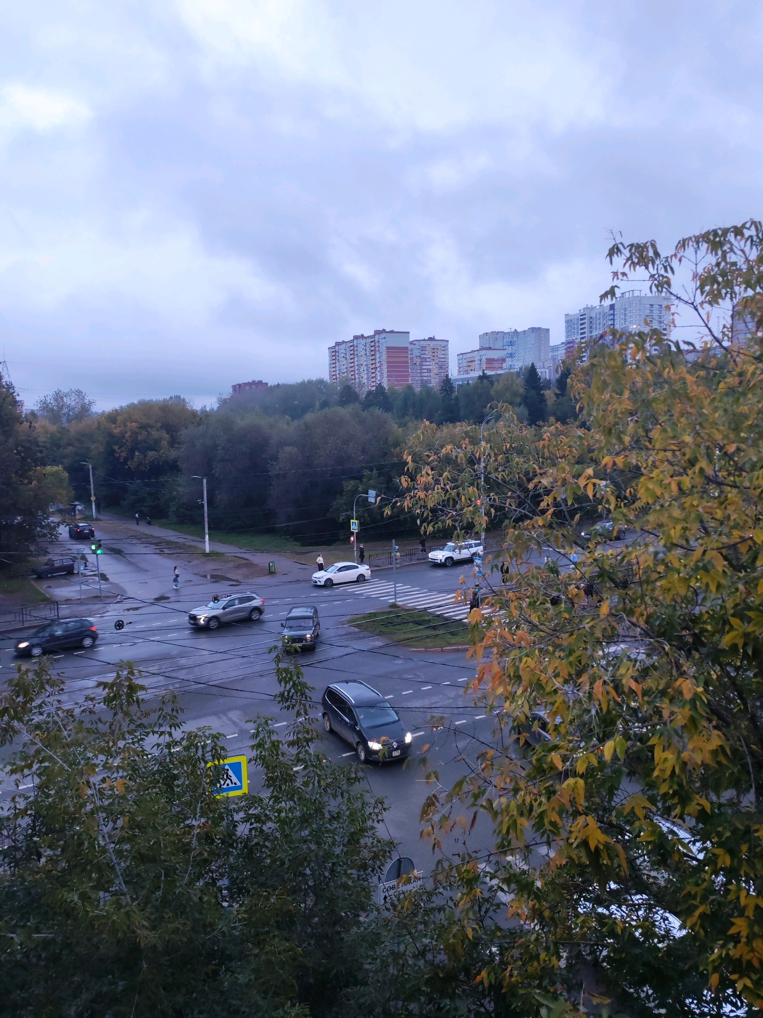 The image depicts a city intersection in Izhevsk, Russia, on a cloudy day. The foreground is dominated by the branches of a tree with autumn foliage, showing yellow and green leaves. The middle ground reveals a multi-lane intersection with wet asphalt, indicating recent rain. Several vehicles are visible: a black SUV turning right, a silver SUV proceeding straight, a black sedan making a left turn, and a white sedan stopped at a pedestrian crossing. A pedestrian crossing sign is clearly visible on the right side of the road. Traffic lights are present, with one showing a green light. In the background, a dense line of trees separates the intersection from residential buildings. The buildings are multi-story, characteristic of urban Russian architecture, with some appearing to be apartment complexes. The sky is overcast with muted gray clouds.
