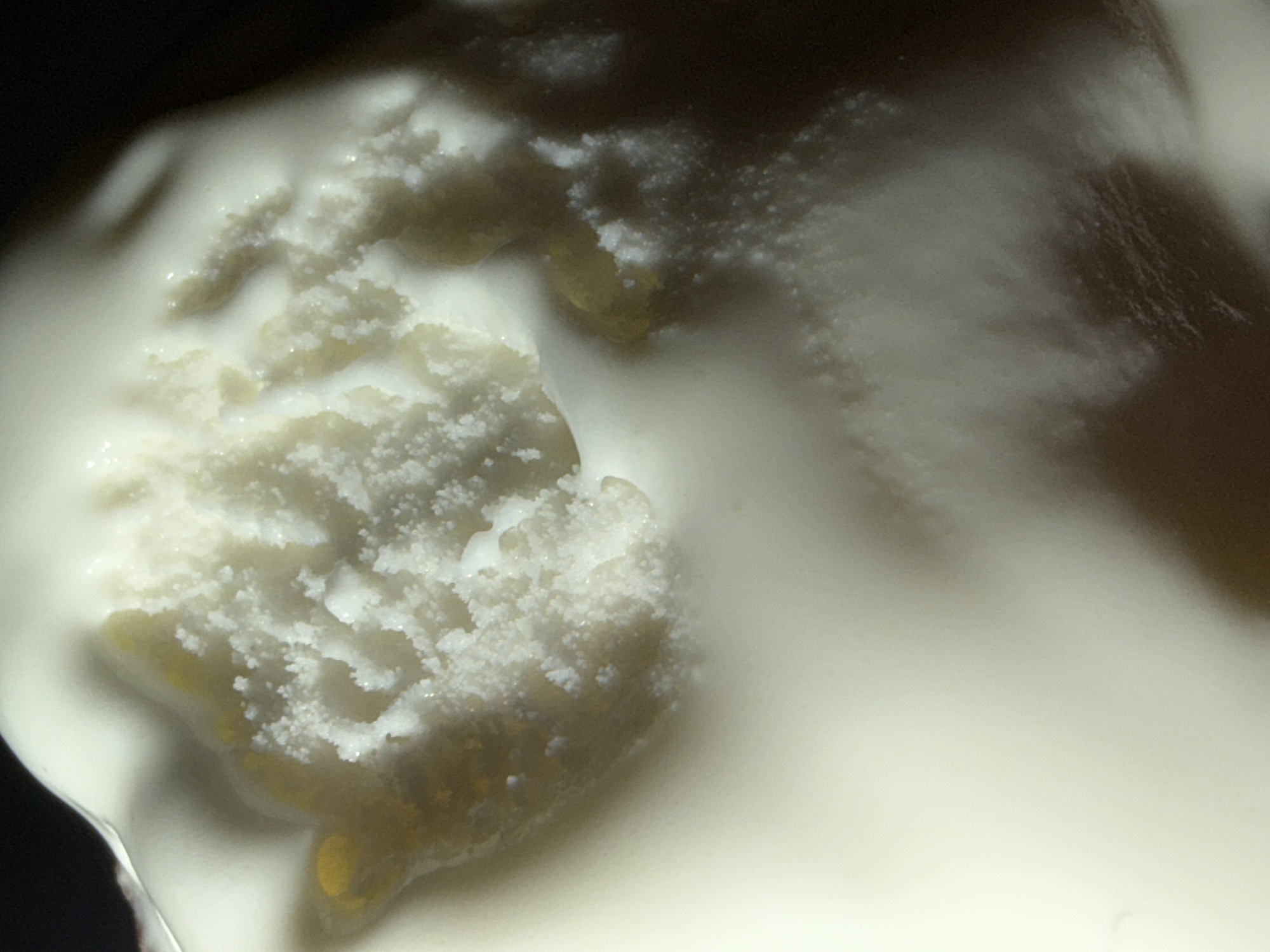 This is an extreme close-up, macro photograph of ice cream. The subject is the textured surface of the ice cream, appearing creamy and white with visible sugar crystals scattered across it. In some areas, particularly in the lower left quadrant, there are small yellow or golden flecks, possibly indicating a flavor or ingredient within the ice cream. The lighting is somewhat dramatic, with highlights glinting off the frozen surface, and the background is dark, creating a sense of depth and focusing attention on the ice cream itself. There is no visible text. The image does not depict any people, specific setting, time of day, or weather conditions, as it is a close-up of food. The overall impression is one of creamy, cold sweetness, with the texture of the ice cream being the primary focus.