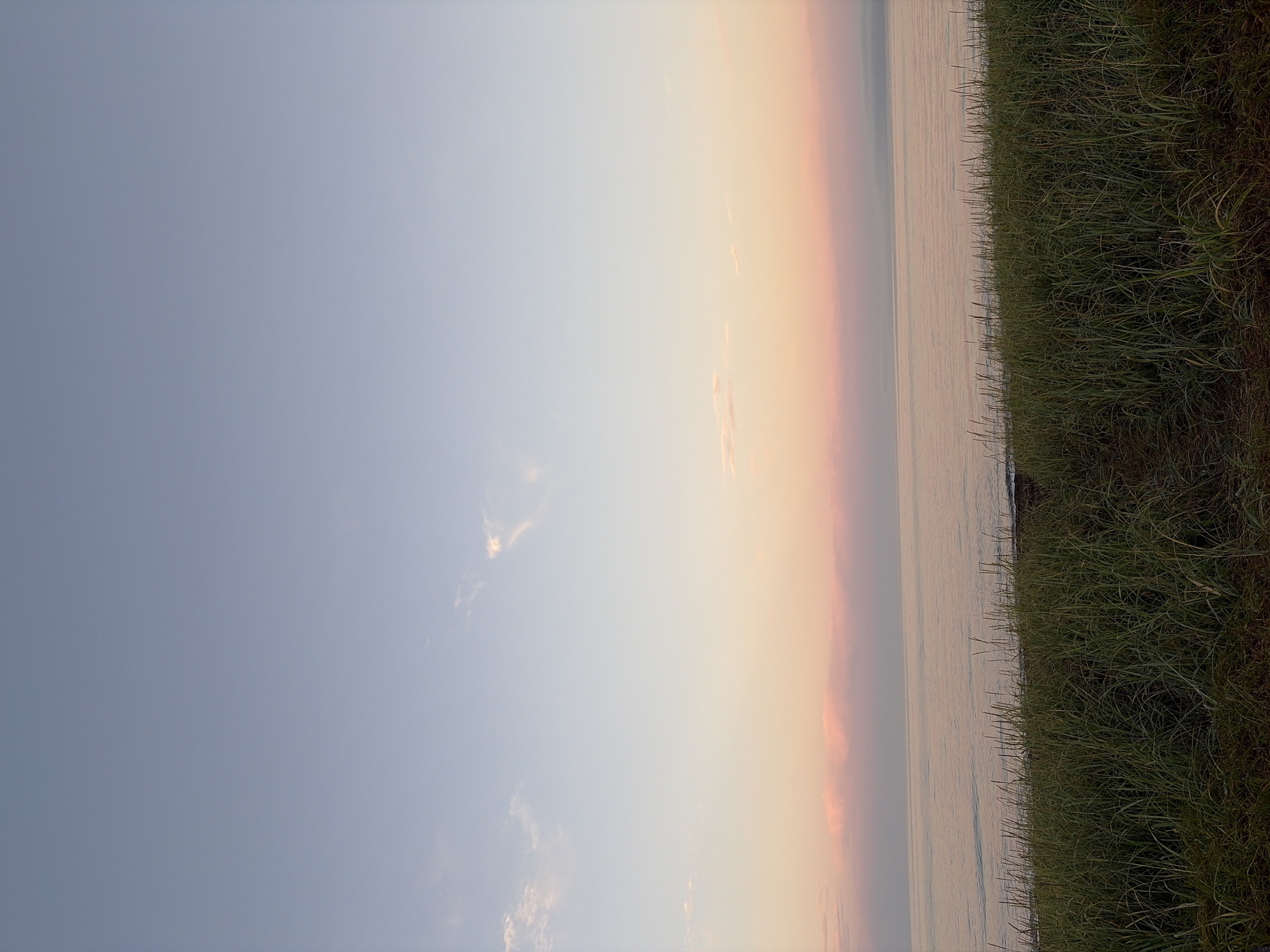 The image depicts a serene natural landscape, likely a coastline at sunset. The sky transitions from a pale blue at the top to soft hues of pink and orange near the horizon, indicative of twilight. A few wispy clouds are scattered across the sky. Below the sky, a calm body of water stretches out, reflecting the colors of the sunset. In the foreground, tall, green grasses dominate the scene, suggesting a grassy embankment or field leading to the water's edge. The overall impression is one of tranquility and natural beauty. The location is described as being in the city of Ozerskoe, Russia, though no specific landmarks or urban elements are visible in the image, suggesting this is a natural area within or near the city. There are no people, animals, or man-made structures depicted in the image.
