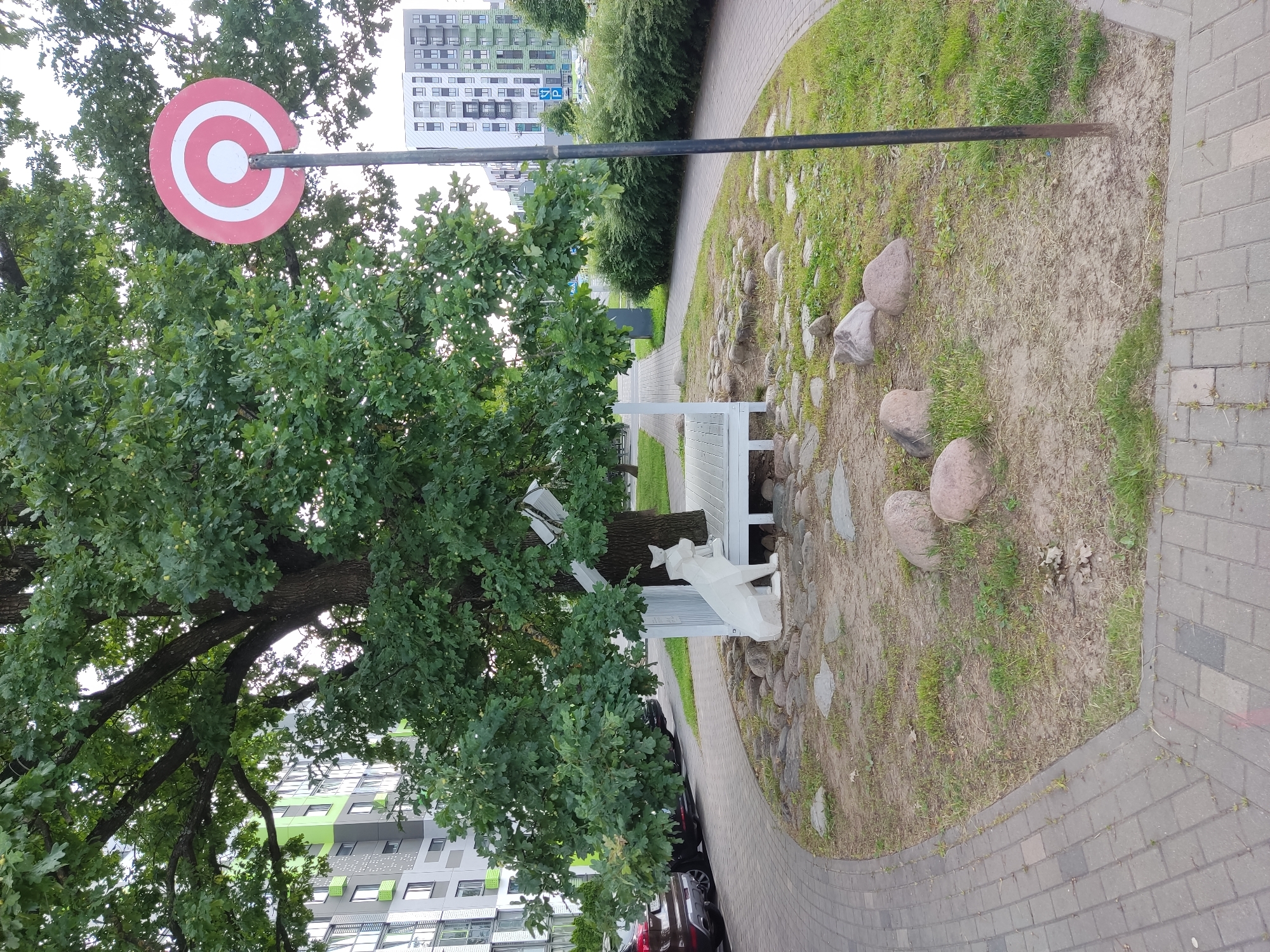 This is a medium shot, eye-level, outdoor, daytime photograph taken in the Бараўлянскі сельскі Савет, Belarus. The image features a large, mature oak tree with dense green foliage. Beneath the tree, a white, abstract sculpture of a dog is seated on a low, white wooden platform. The platform has a white railing. The ground around the tree is covered with dirt, grass, and several large, rounded stones. To the right of the tree, a thin, dark pole supports a circular target sign with concentric red and white rings. A paved walkway, made of grey interlocking bricks, curves around the scene from the left foreground, passing by the tree and leading off into the distance. In the background, modern, multi-story apartment buildings with grey and green facades are visible, along with lush green bushes lining the walkway. Several cars are parked along the side of the road to the left. The sky is overcast.