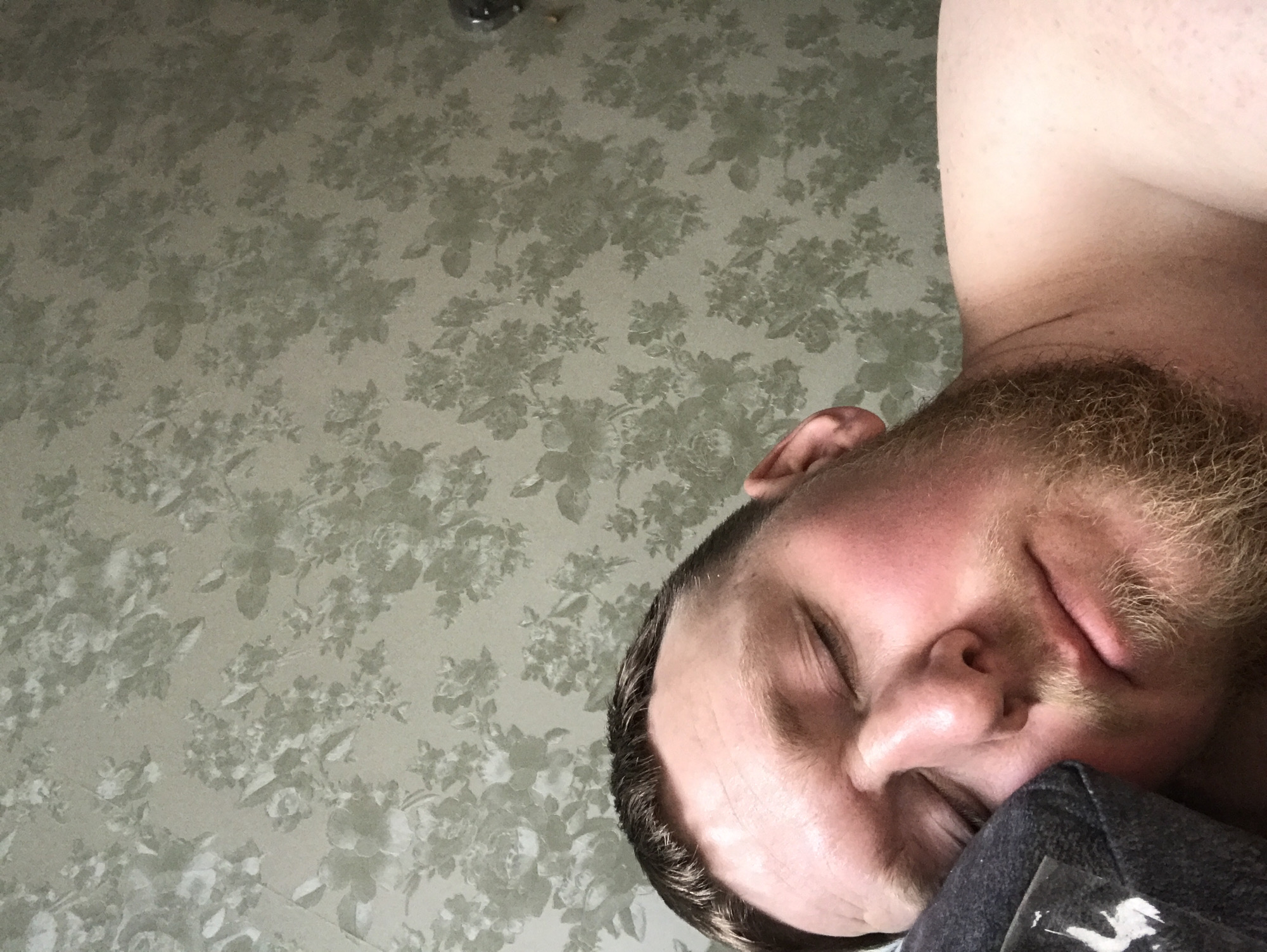 The image displays a close-up, overhead view of a light-skinned male sleeping or resting peacefully indoors in Sakmary, Russia. His eyes are closed, and his facial expression appears serene and relaxed. He has a prominent reddish-brown beard and mustache, along with short, dark hair visible on his head. His cheeks and nose exhibit a natural flush.
His head is gently resting on a dark grey or black fabric, which could be part of an item of clothing, a pillow, or a cap. A small, blurry, and illegible white mark, possibly text or a logo, is visible on this fabric near his chin.
The dominant background is a patterned surface, likely wallpaper or fabric, featuring a repeating floral design. This pattern consists of roses and leaves in muted green and grey tones, set against a lighter beige-grey base. The pattern covers the entire visible background, suggesting an indoor setting. The image primarily conveys a sense of calm and repose.