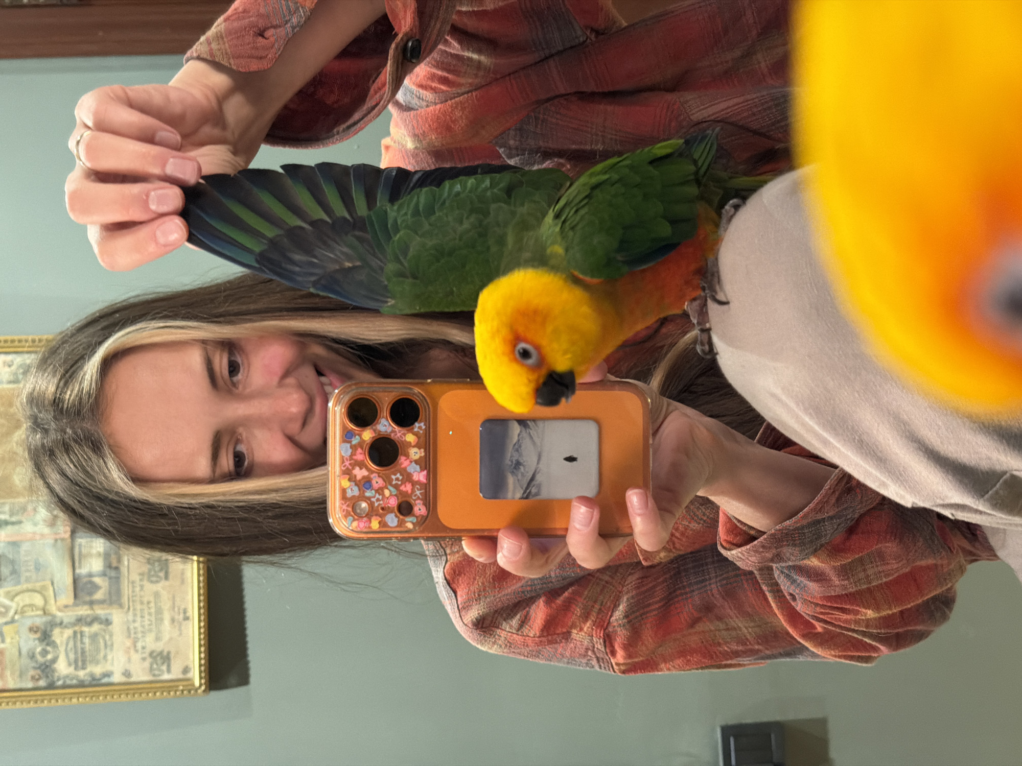 A young woman is depicted taking a mirror selfie, smiling broadly with a happy expression. She has long, dark brown hair with blonde highlights framing her face and is wearing a red and orange plaid shirt. A vibrant parrot, identified as a Sun Conure, is perched on her shoulder or chest, its bright yellow head, orange body, and green and blue wings prominent near her face.
The woman holds an orange-cased iPhone with her right hand, which features small, colorful cartoon character stickers on the left side and a rectangular pop-socket on the back displaying a monochrome image of a mountainous landscape. Her left hand is seen gently holding the parrot's wing. A simple gold band is visible on her ring finger.
The background, reflected in the mirror, includes a muted blue-green wall and a gold-framed picture containing what appears to be old banknotes or documents. Another light-colored garment is visible on her right shoulder, and a blurred yellow object, possibly part of the parrot or another reflection, occupies the far right. The scene conveys a cheerful and affectionate moment between the woman and her pet parrot, set indoors in what appears to be a home, potentially in Khimki, Russia. No discernible text is visible other than the cartoon characters on the phone case.