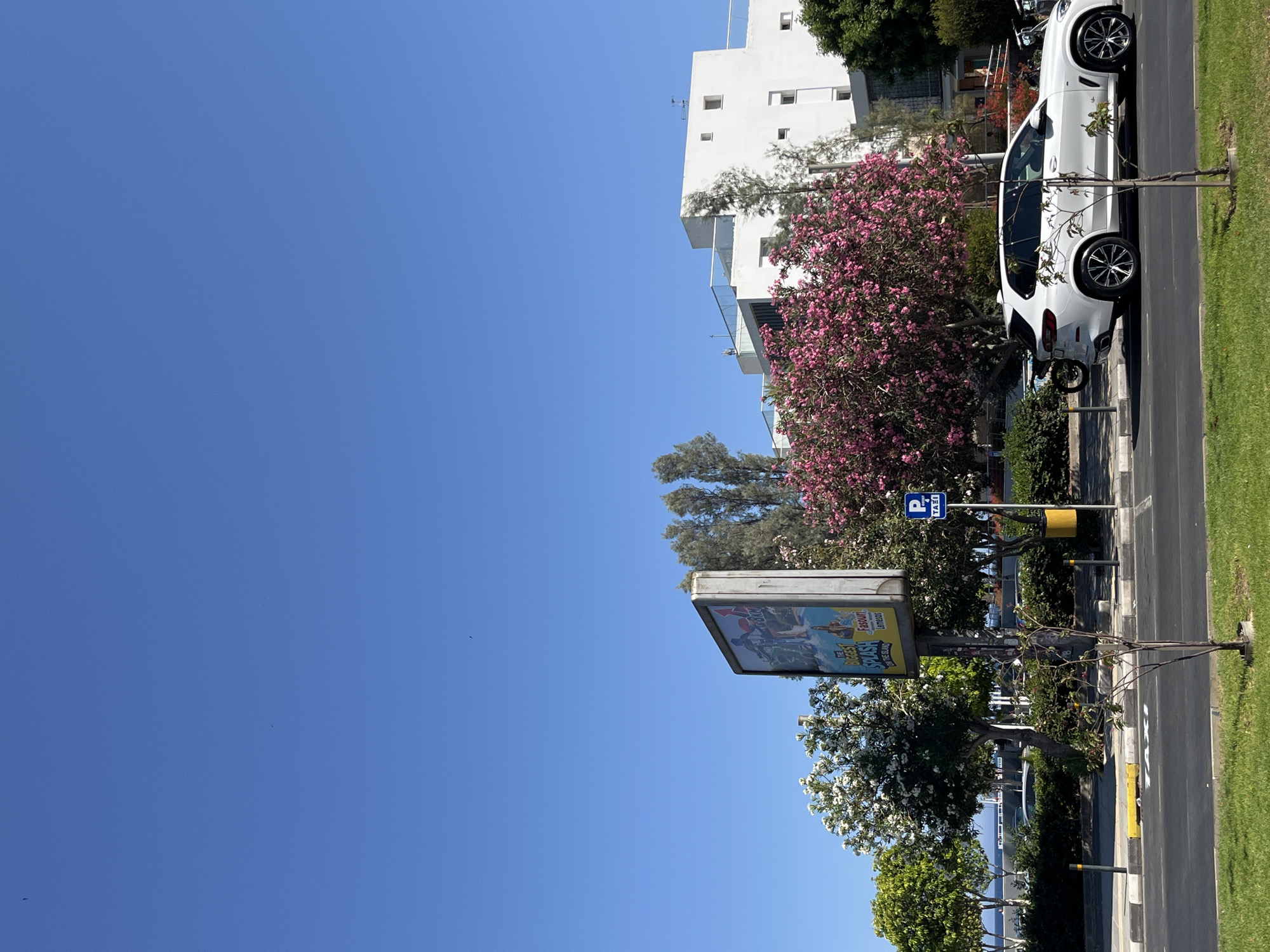 A white BMW SUV is parked on the side of a street in Limassol, Cyprus, under a clear blue sky. To the left of the SUV, a vibrant pink flowering tree is in full bloom. Behind the tree, a modern white building with multiple levels and glass railings is visible. Adjacent to the flowering tree is a billboard advertising "The Biggest Splash on the Island" with images of water slides and people enjoying them. A blue taxi sign with a 'P' symbol is also present. The street is paved, with a yellow curb marking the edge of the sidewalk. In the foreground, a neatly mowed green lawn runs along the street.