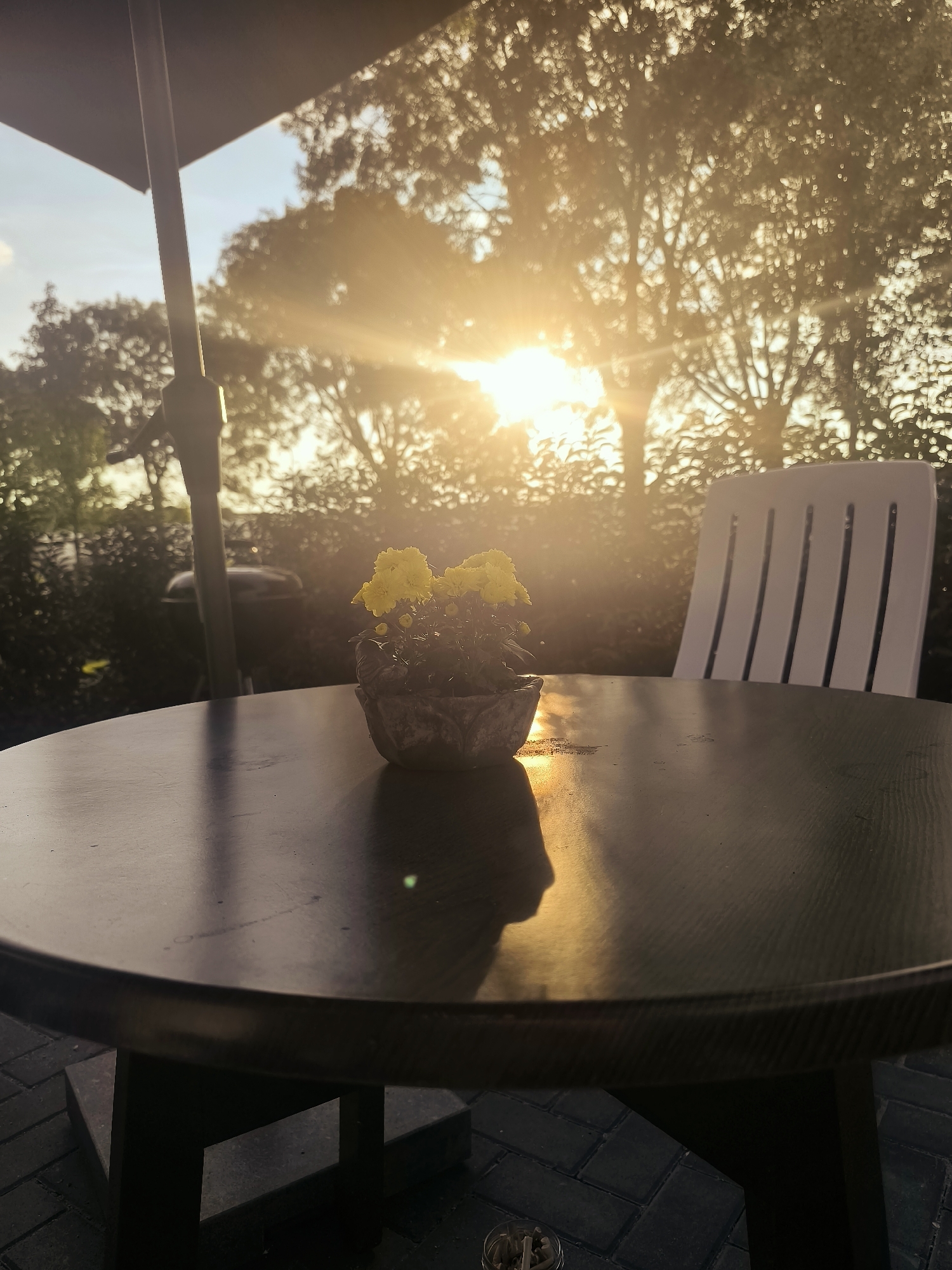 An outdoor table with a potted plant featuring yellow flowers sits in front of a white plastic chair. The sun is setting behind trees, casting a warm glow and lens flare across the scene. The table is round and dark-colored, and it rests on a paved patio. A portion of an umbrella pole is visible on the left side of the image. The overall impression is one of a serene evening setting, likely a backyard or a café patio, in Almere, Netherlands, given the context provided.