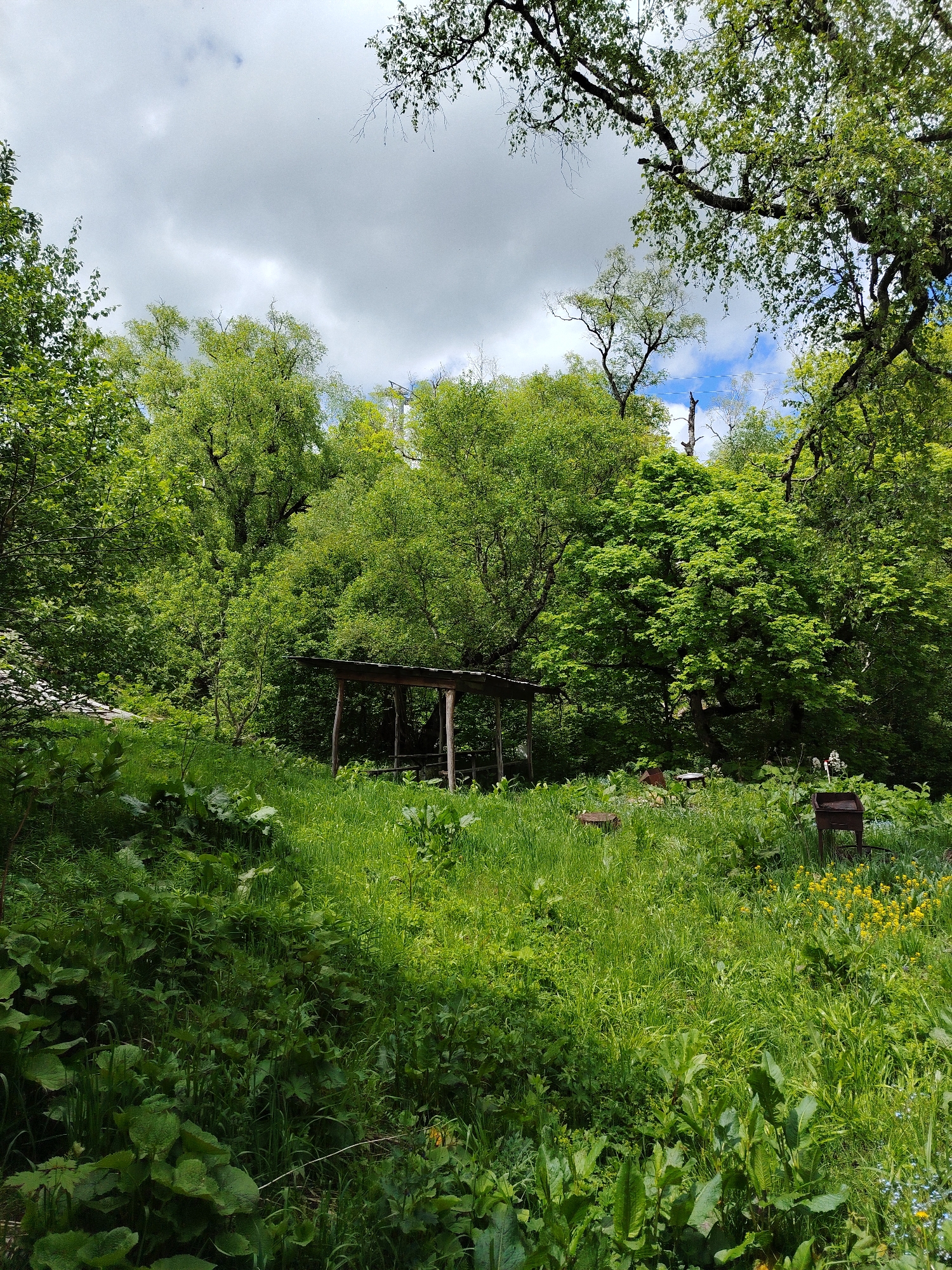 The image depicts an overgrown, grassy area with a rustic wooden shelter in the background. The shelter appears to be open on the sides with a simple sloped roof supported by wooden posts. Surrounding the shelter is lush, tall green grass and various types of foliage. In the midground, there are a couple of rustic metal objects, one possibly a barbecue grill, and some small yellow wildflowers. The scene is framed by dense green trees, with a cloudy sky visible overhead. The environment suggests a natural, somewhat untamed outdoor setting, potentially a backyard or a secluded area within a park. There are no people visible in the image. The overall impression is one of a quiet, natural retreat. This scene could be located in a park or a rural area in Bakuriani, Georgia, given its natural vegetation and rustic elements.
