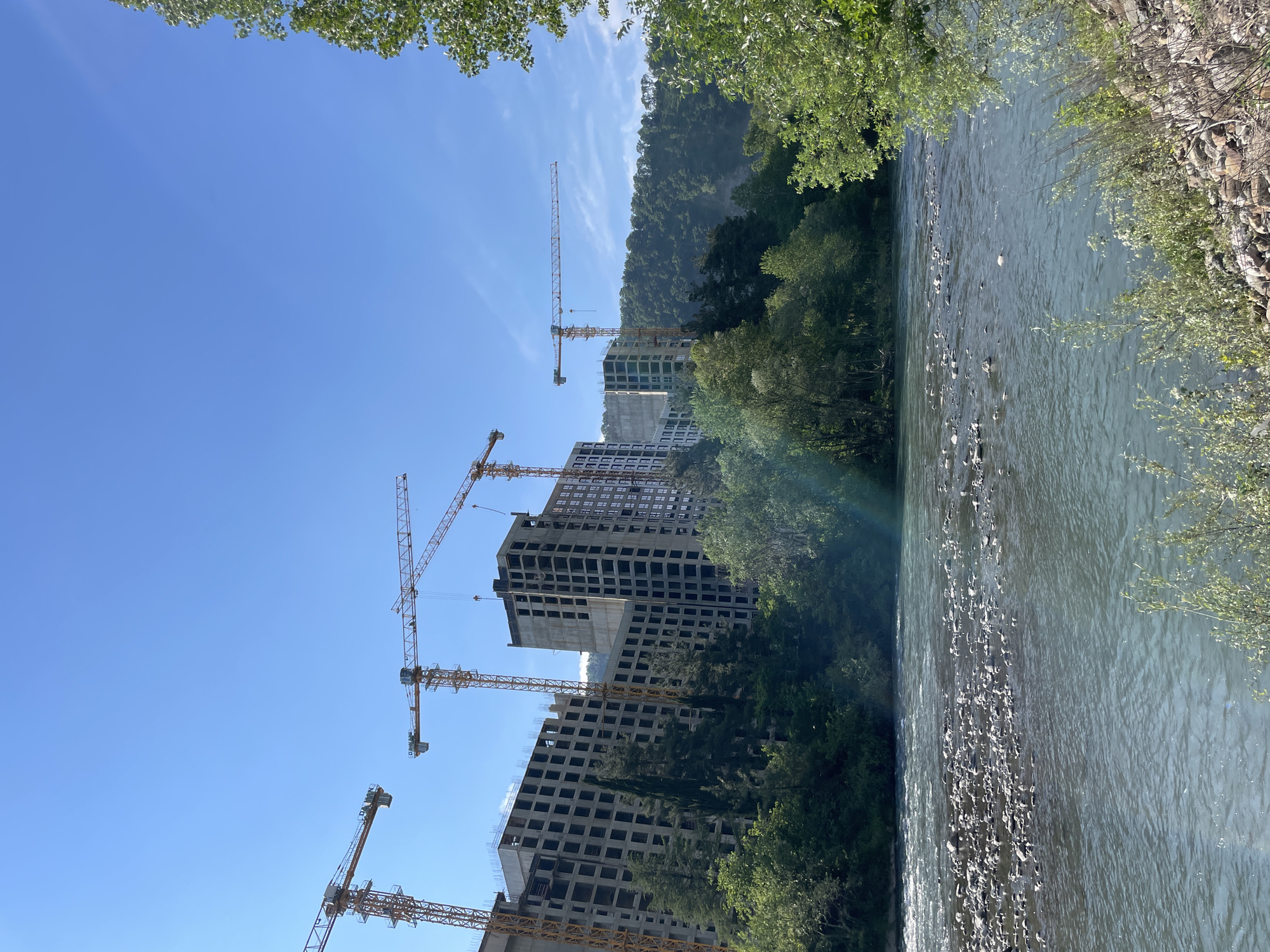 The image displays a wide, moderately flowing river with a visible rocky bed, particularly in the mid-ground, under a clear, bright blue sky with sparse, wispy clouds. On the far bank, multiple large-scale, multi-story buildings are under construction, characterized by exposed concrete frames with numerous rectangular window openings. At least five yellow-orange tower cranes with long jibs are positioned around these unfinished structures; the word "LOADAM" is visible on the jib of one crane. Behind the construction sites, densely forested hills rise. Lush green vegetation, including various trees and shrubs, lines both sides of the river; notably, some taller, darker conifers stand near the buildings. In the immediate foreground on the right, more green foliage and scattered rocks are present along the riverbank. No individuals are visible. The scene is illuminated by bright sunlight.
This location is the Mzymta River in the Adler District of Sochi, Russia, known for its combination of natural river landscapes and extensive construction, particularly of residential or resort complexes, following the 2014 Winter Olympics.