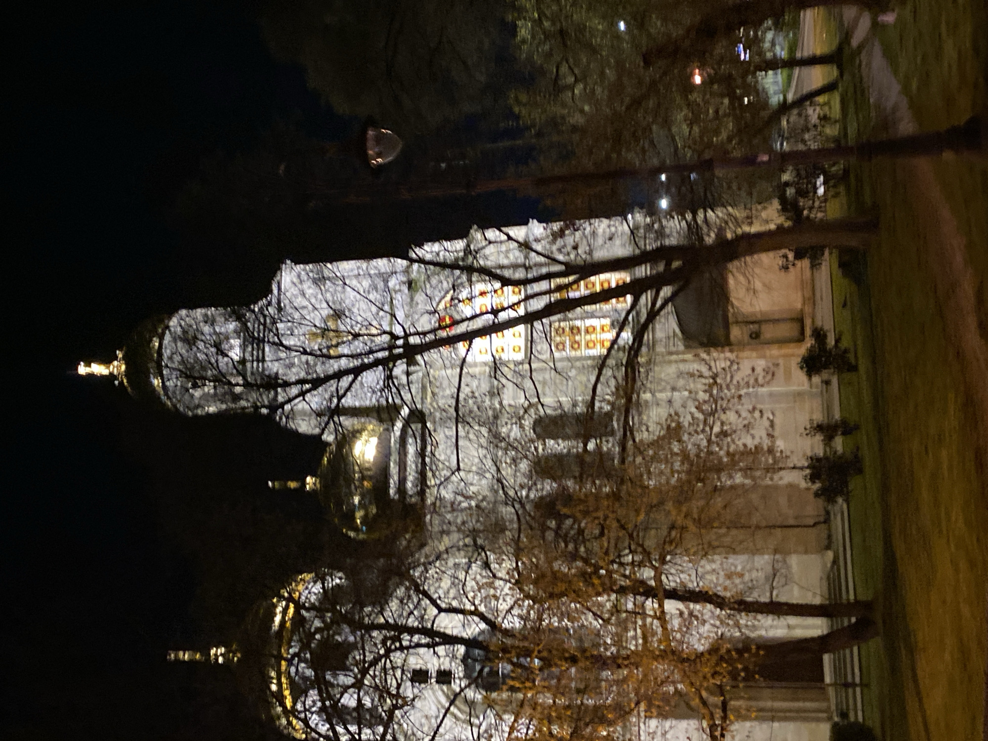 The image depicts the illuminated Varna Opera House at night in Varna, Bulgaria. The opera house, with its dome and lighted windows, is visible behind bare tree branches. The building is reflected in the water in the foreground. The scene includes a dark sky and a patch of grass on the right side of the image.