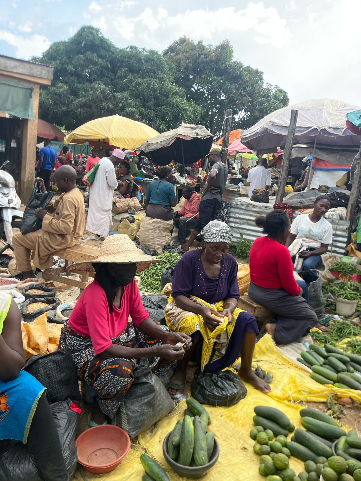 The image depicts a bustling outdoor market scene in Gura Top, Nigeria. Several individuals, predominantly women, are engaged in commerce. In the foreground, a woman wearing a straw hat and a pink shirt is seated, holding what appears to be a small object in her hands. Beside her, another woman in a purple top and yellow patterned skirt is also seated and appears to be working with her hands, possibly preparing produce. A pile of cucumbers and other green vegetables is visible on a yellow tarp in the lower right of the frame.
Further into the market, a man in a tan outfit is seated on a bench, holding a black plastic bag. A person in a white robe stands nearby. Other individuals can be seen in the background, some standing and others seated, surrounded by stalls and produce. The market is covered by various umbrellas and awnings, providing shade. Trees are visible in the upper portion of the image, suggesting an outdoor setting with vegetation. The ground appears to be unpaved. The overall atmosphere suggests a lively marketplace where goods are being bought and sold.