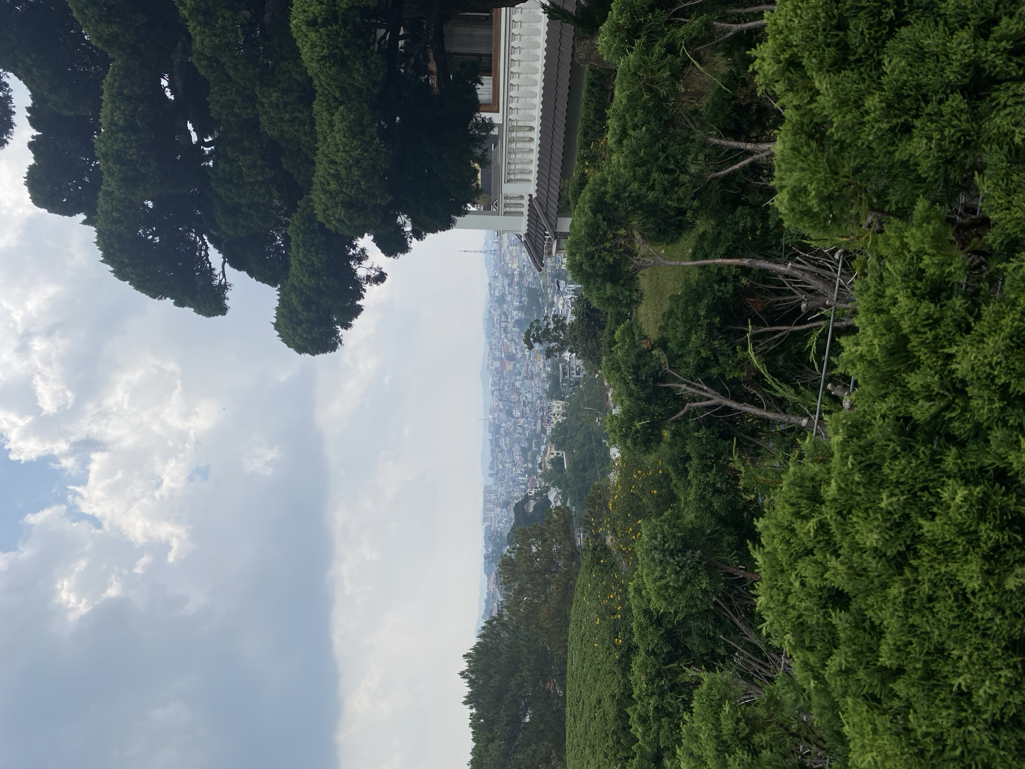 The image presents a view overlooking Da Lat, Vietnam, framed by trees and part of a building. The urban landscape of Da Lat is visible in the distance under a cloudy sky. The foreground features dense evergreen trees, including what appears to be a tall cypress. A portion of a white building with decorative trim and a dark roof is visible on the left. The scene suggests a vantage point on a hillside or elevated area overlooking the city.