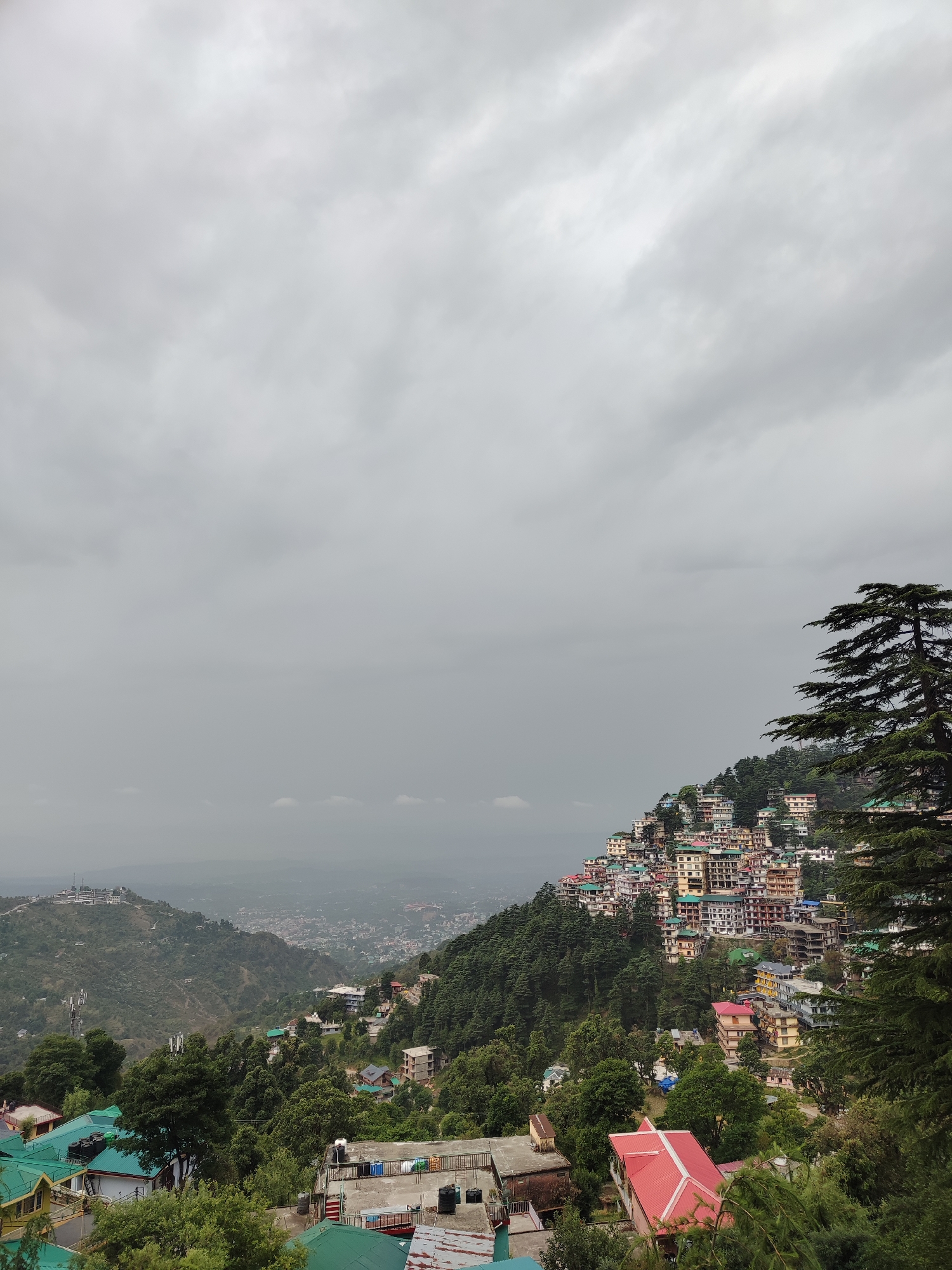 The image captures a panoramic view of a densely populated hill station nestled amidst lush green mountains under an overcast sky. The foreground and mid-ground are dominated by numerous multi-storied buildings constructed on the steep slopes, appearing to cascade down the hillside. These buildings feature diverse architectural styles and vibrant roof colors, including red, green, blue, yellow, and brown, interspersed with white and cream facades.
Dense coniferous forests, primarily dark green pines and deodar trees, blanket the hillsides and are integrated within the urban sprawl, with some trees towering over the buildings. On the right side of the frame, a large coniferous tree with long needles partially obscures the view.
In the distance, the landscape extends into hazy valleys and further hills, revealing a broader expanse of urban development. A notable landmark, a distinct white building complex, possibly a temple or monastery, is visible on a distant hilltop to the left. Overhead, the sky is uniformly grey and heavily clouded, suggesting an overcast day, perhaps during monsoon season or just before rain. No specific activities, people, or visible text can be identified in the image. The scene conveys the unique blend of natural beauty and human habitation characteristic of hill towns like Dharamshala, India.
