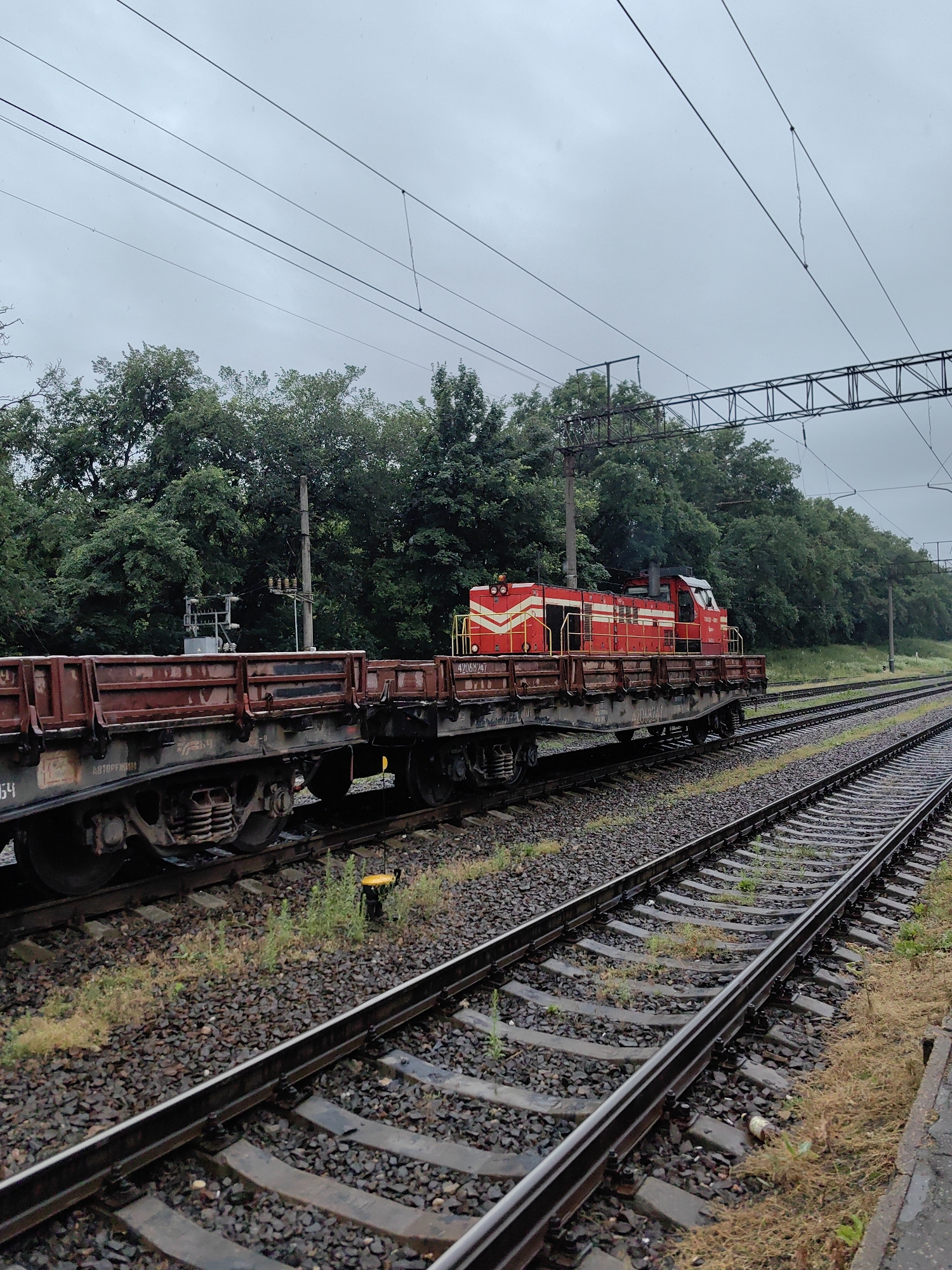 A red and white diesel locomotive is parked on railroad tracks, pulling a series of flatbed rail cars. The train is positioned in an industrial area with a dense line of trees bordering the right side of the frame. Overhead power lines stretch across the sky, which is overcast and grey. The train cars appear to be carrying cargo, but it is not clearly visible. The scene is set in Fanipal, Belarus.