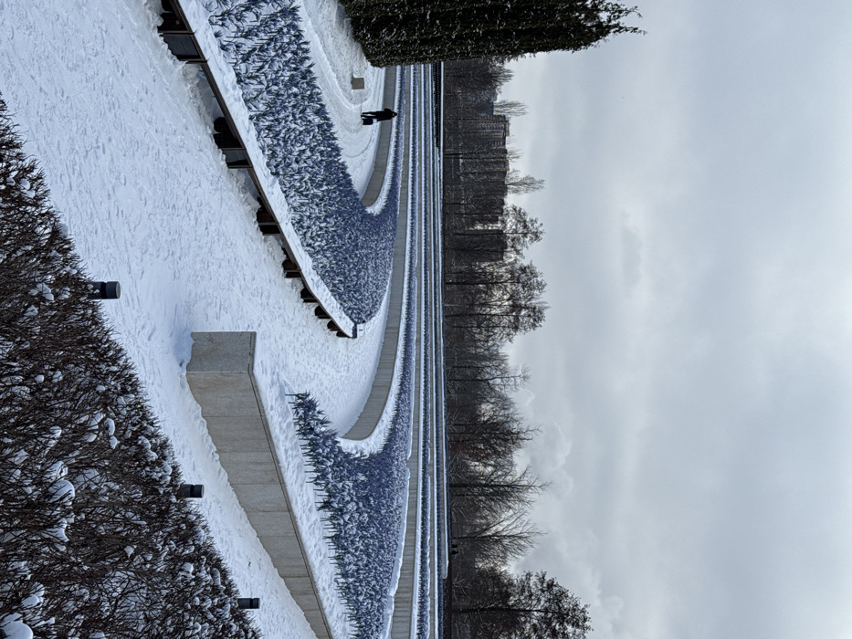 The image displays a snow-covered landscaped park or garden area in Plodorodny, Russia, under an overcast, light grey sky. Multiple curved pedestrian pathways, dusted with snow and showing faint footprints, traverse the scene. These paths are bordered by terraced planters featuring light-colored retaining walls. Within these planters, numerous small, uniform, purple-blue plant-like structures, partially covered by snow, are arranged in rows. Dark-colored benches are integrated into the retaining walls alongside some pathways.
On the far left, a dense cluster of tall, dark green coniferous trees stands, partially covered in snow. In the mid-ground, a lone individual dressed in dark clothing walks away from the viewer on a pathway, pulling a dark wheeled suitcase. In the immediate foreground on the right, low-lying, dark, snow-covered shrubs are visible, interspersed with small, dark cylindrical ground lights.
The background features a line of bare deciduous trees, also lightly covered in snow, behind which a cluster of multi-story urban buildings is visible. A faint plume of white smoke or steam rises above the distant trees towards the right side of the frame.